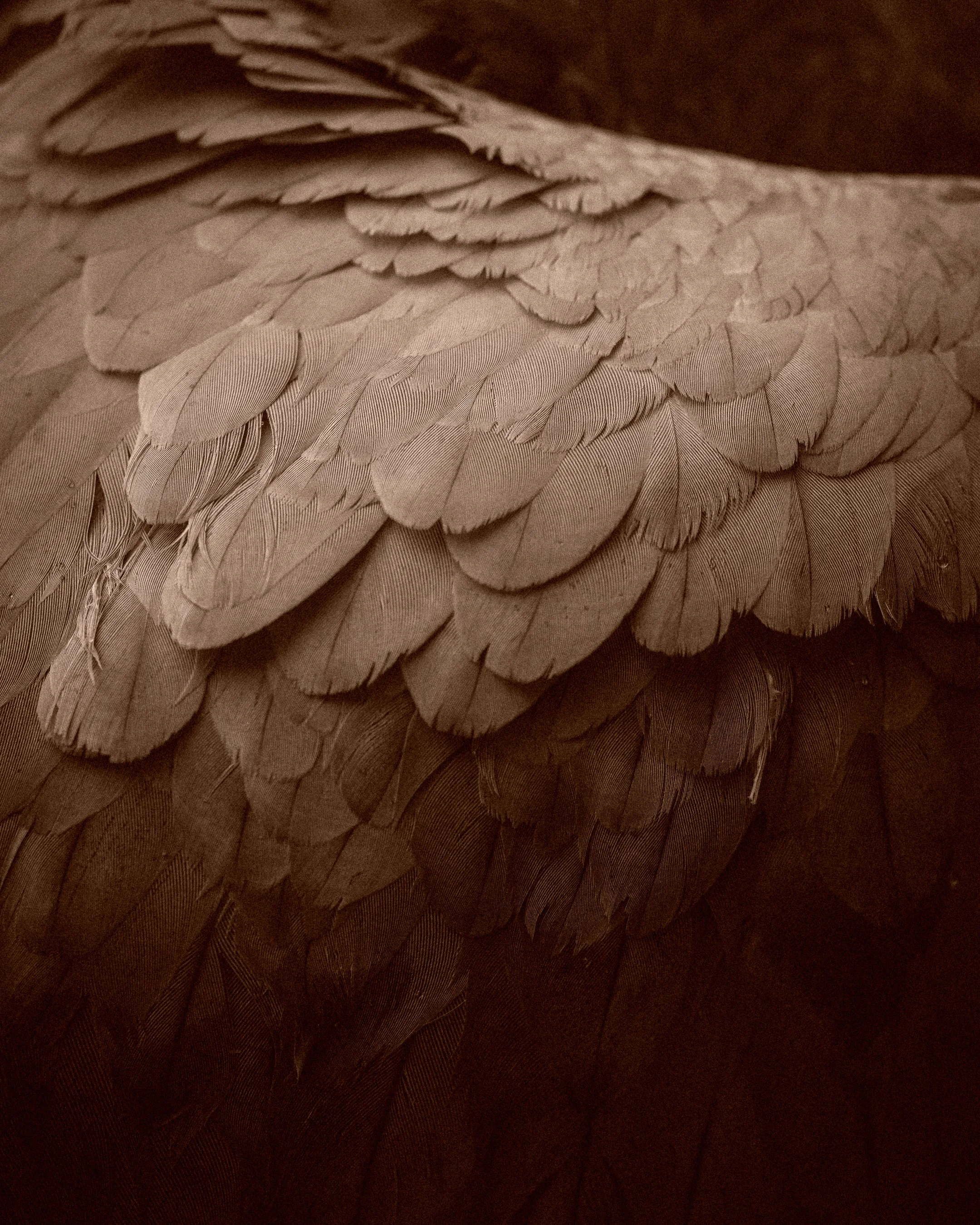 DSCF8864-3.jpg