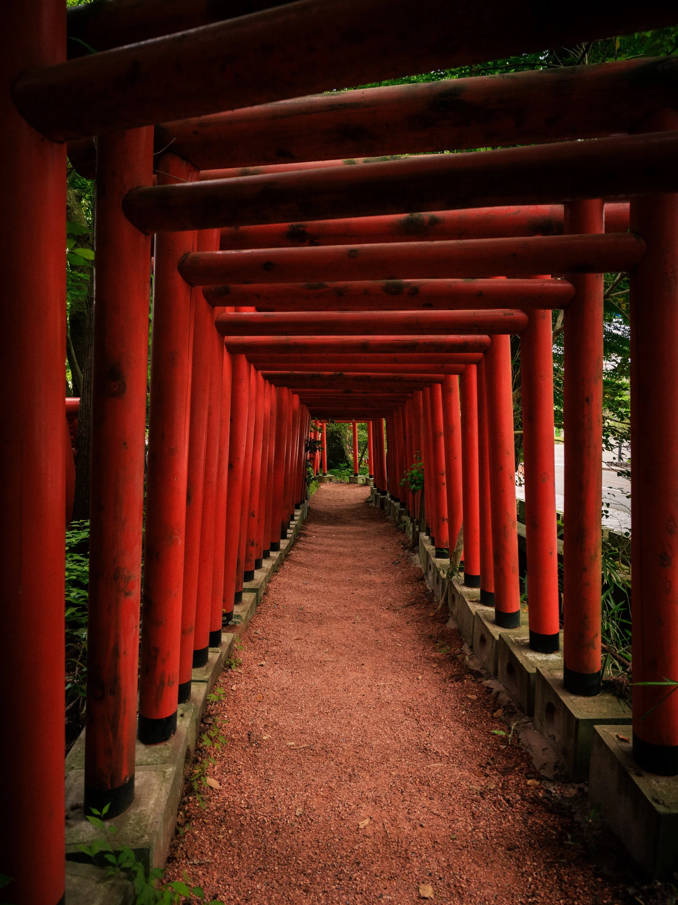 DSCF5860.jpg