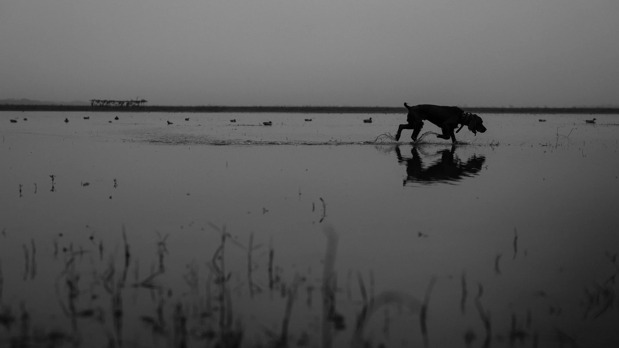 DSCF1247-2.jpg