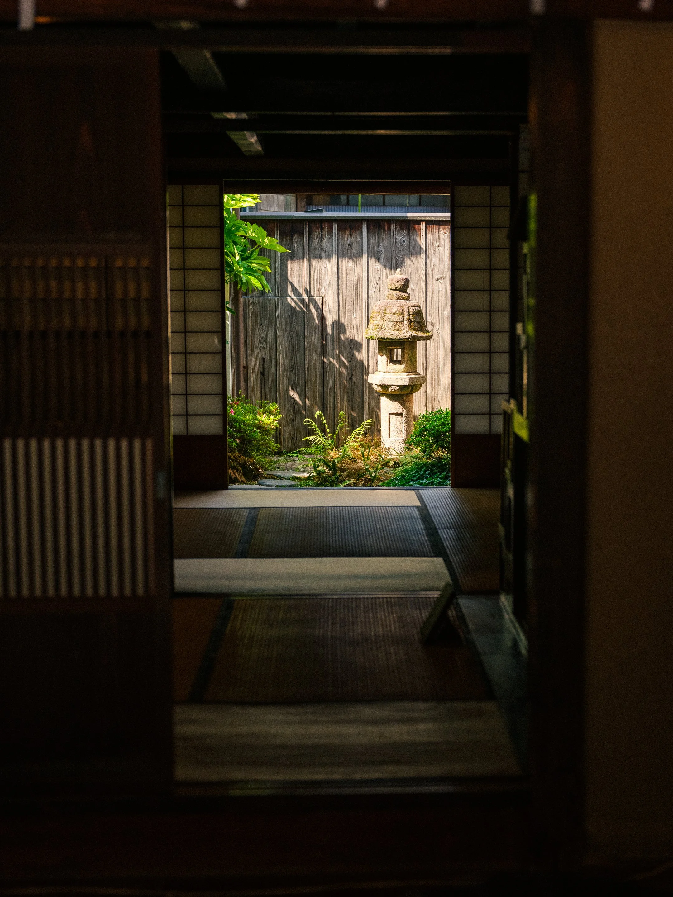 DSCF5369.jpg