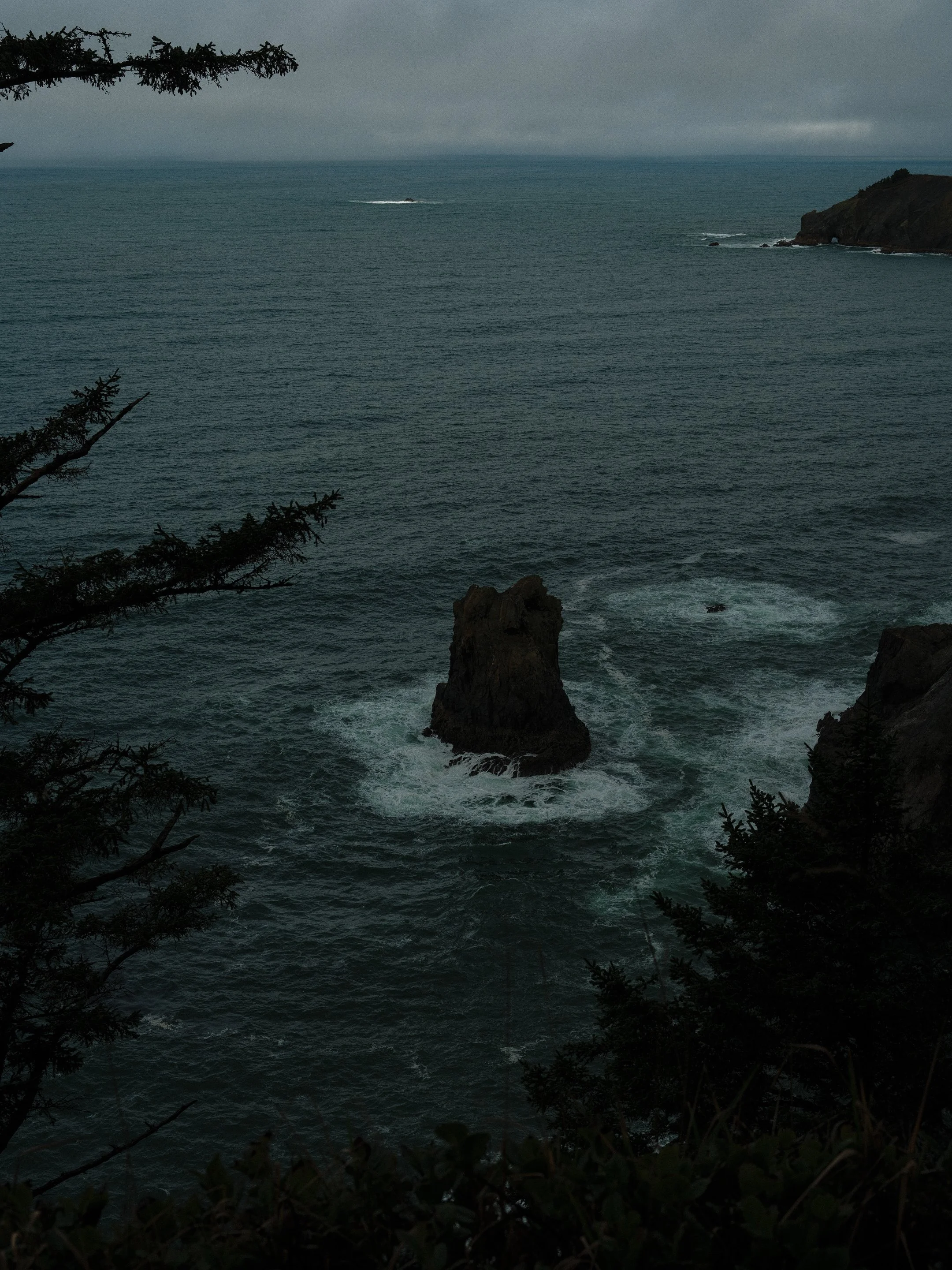 DSCF7171.jpg