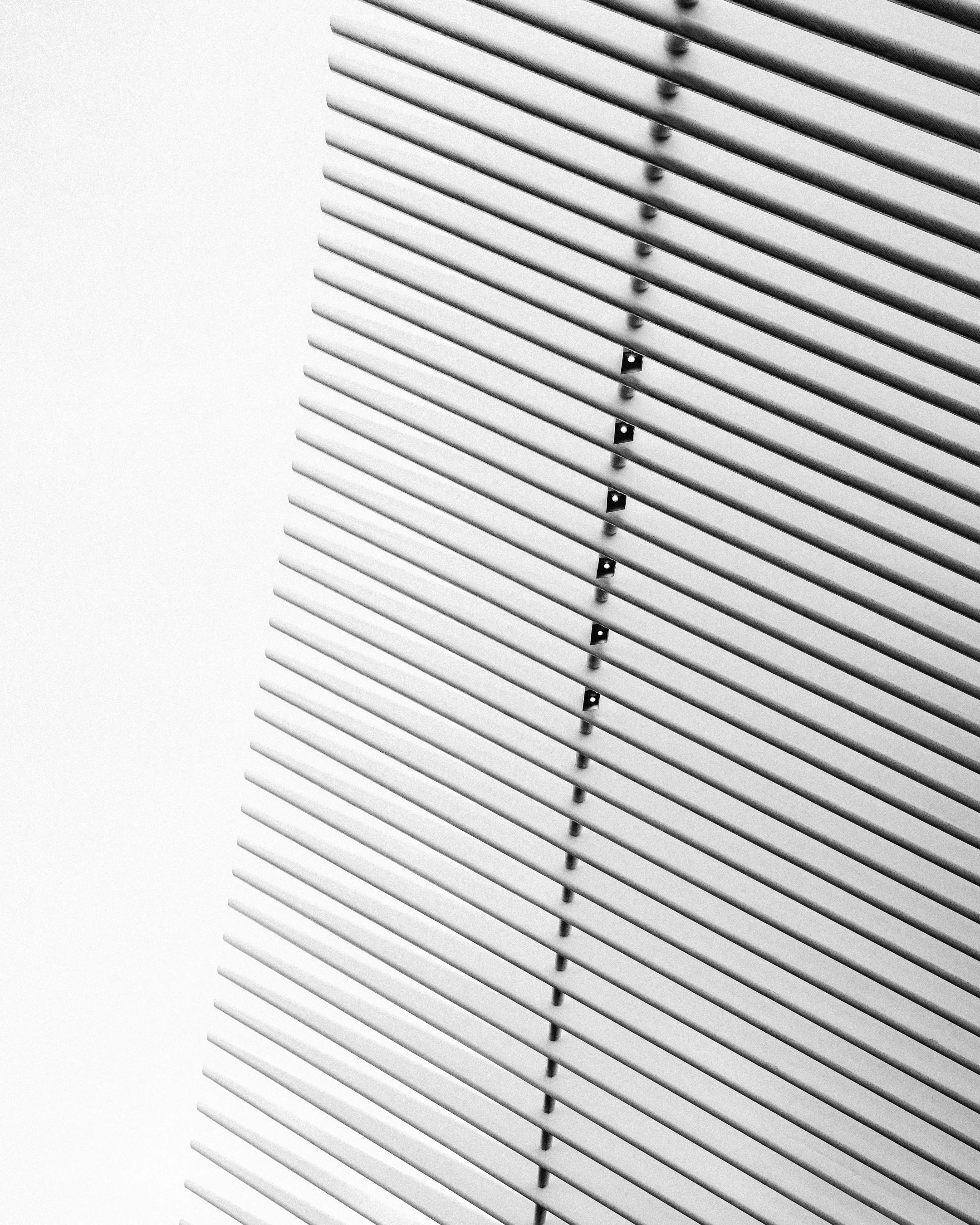 DSC02818-2.jpg