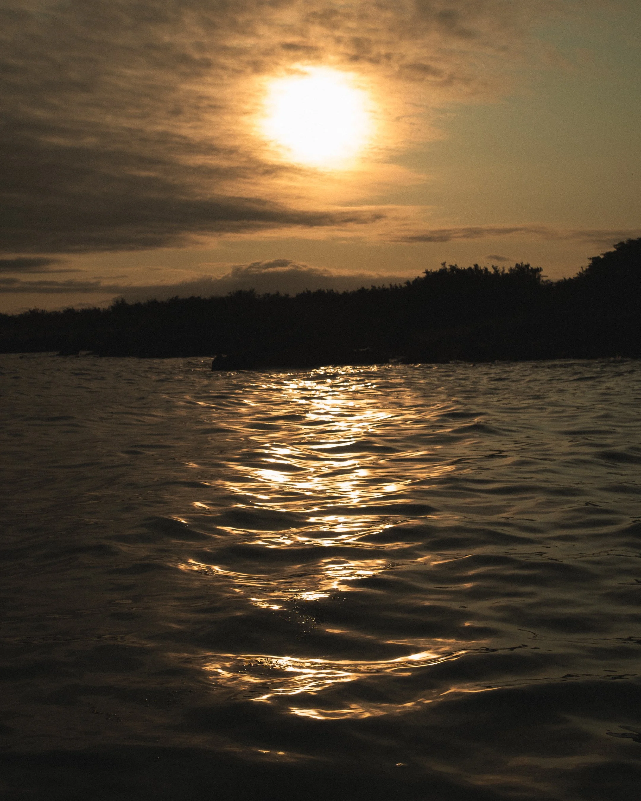 DSCF2554.jpg