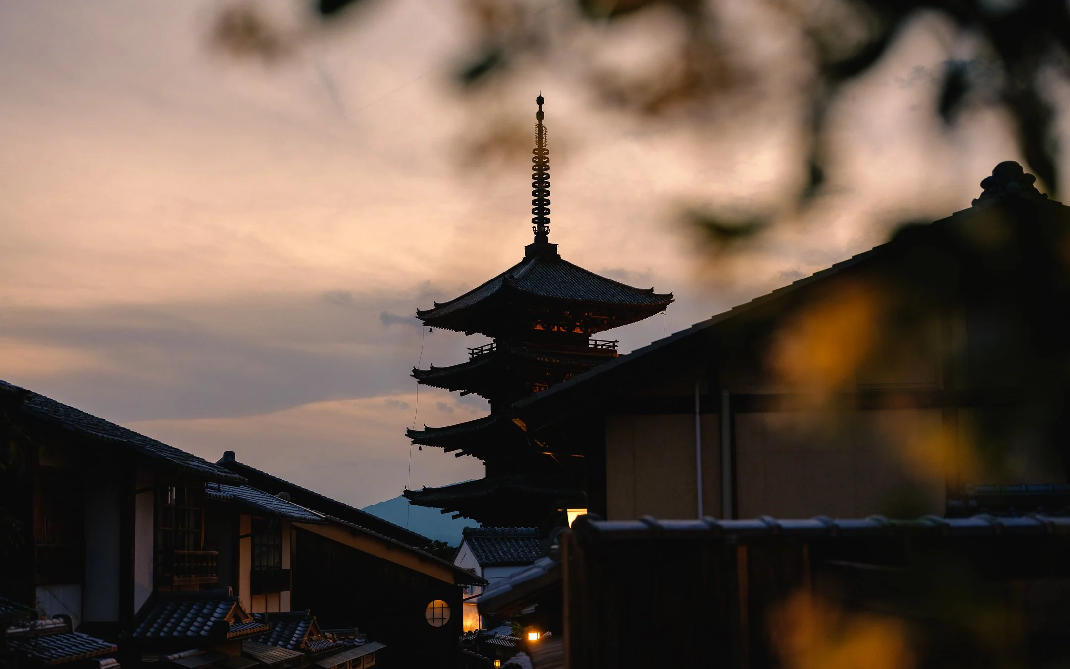 DSCF9252.jpg