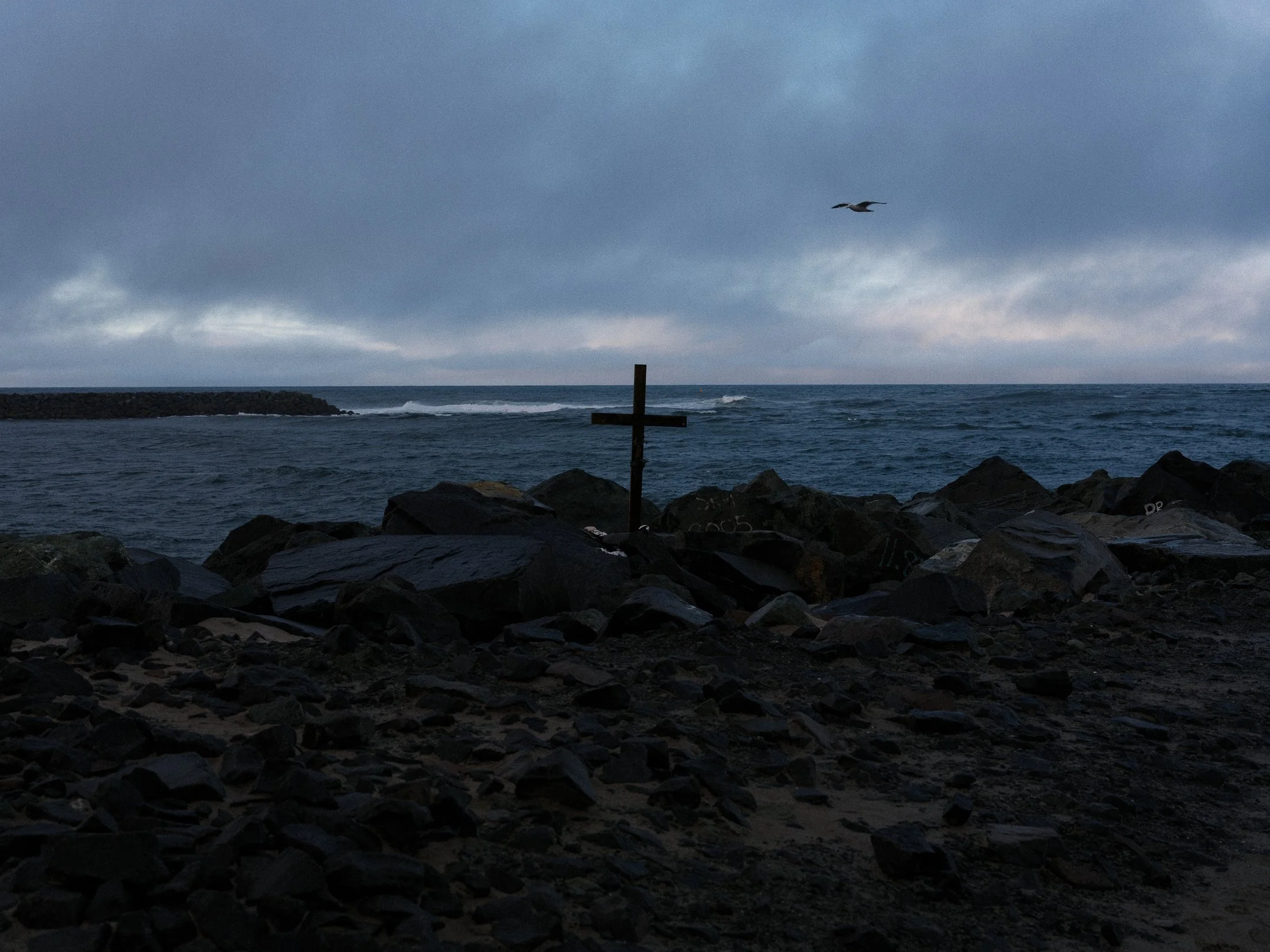 DSCF7085.jpg