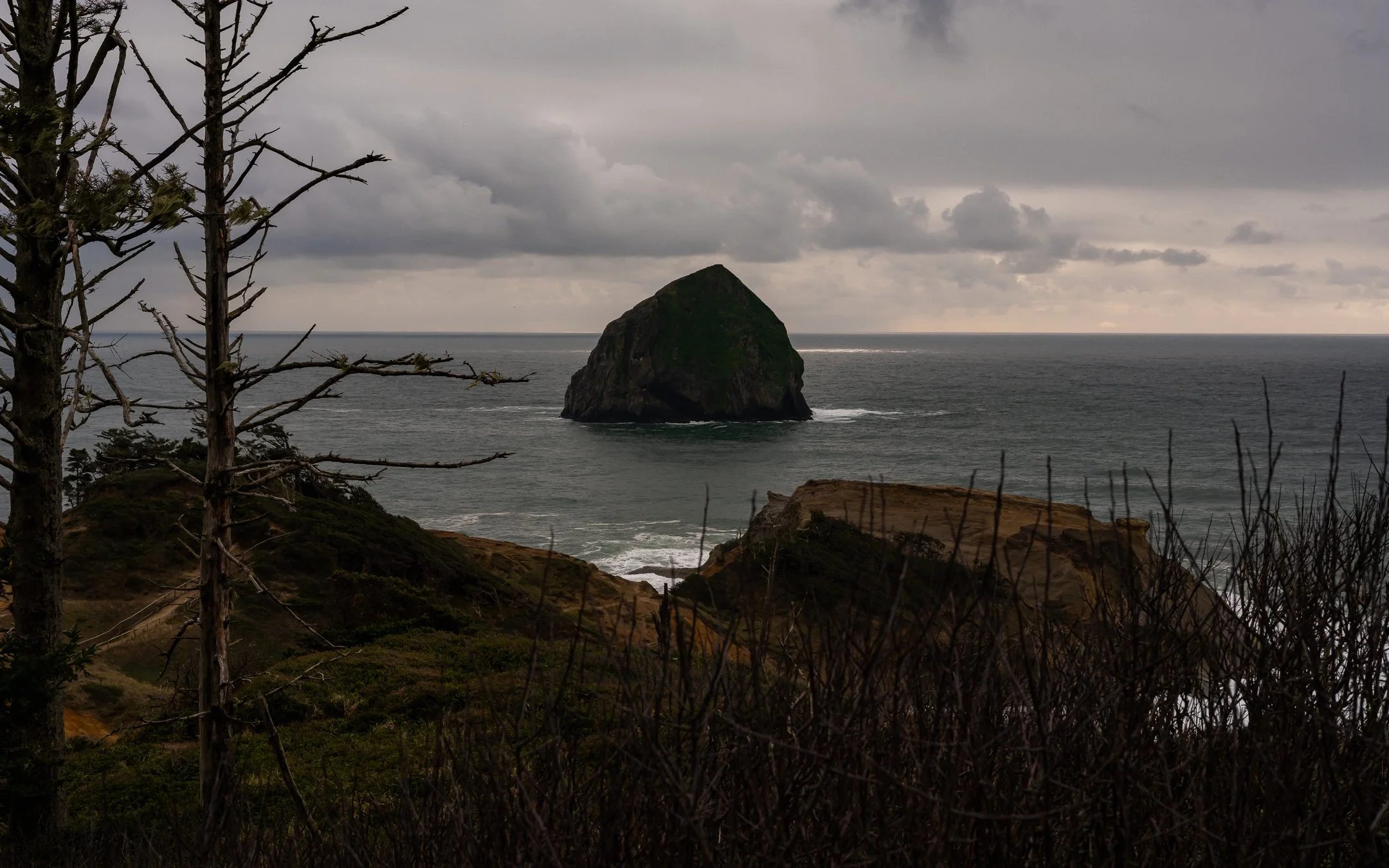 DSCF6983.jpg