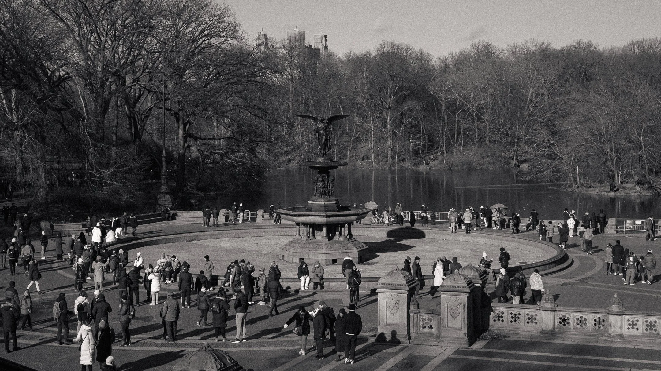 DSCF2533-4.jpg
