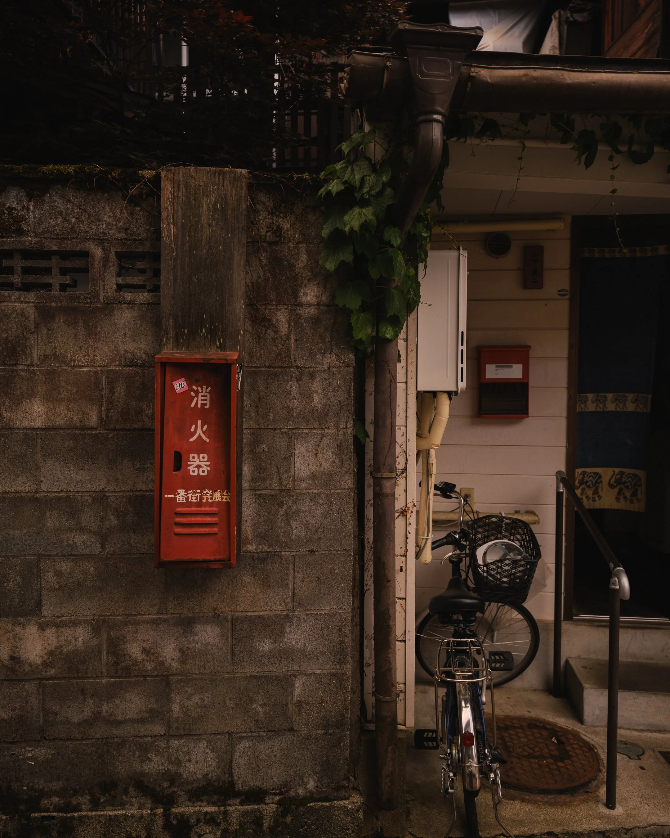 DSCF0411.jpg
