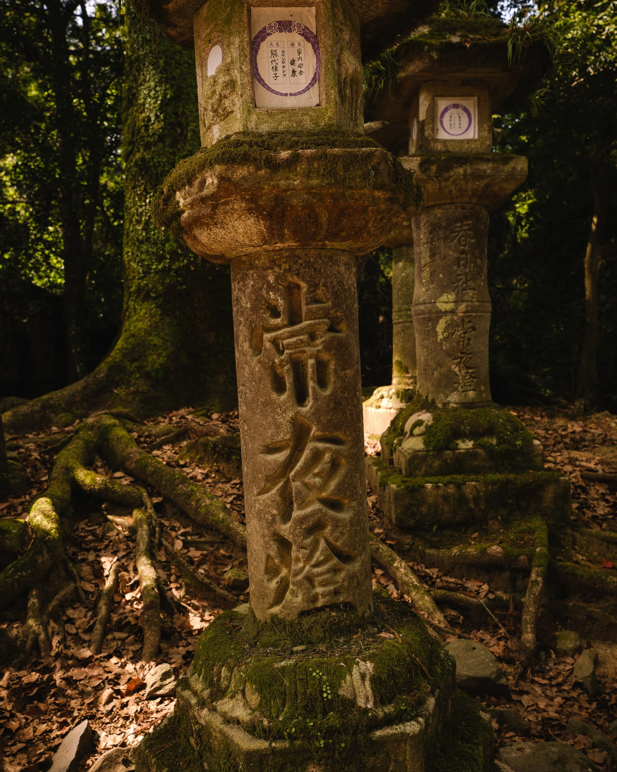 DSCF9945.jpg