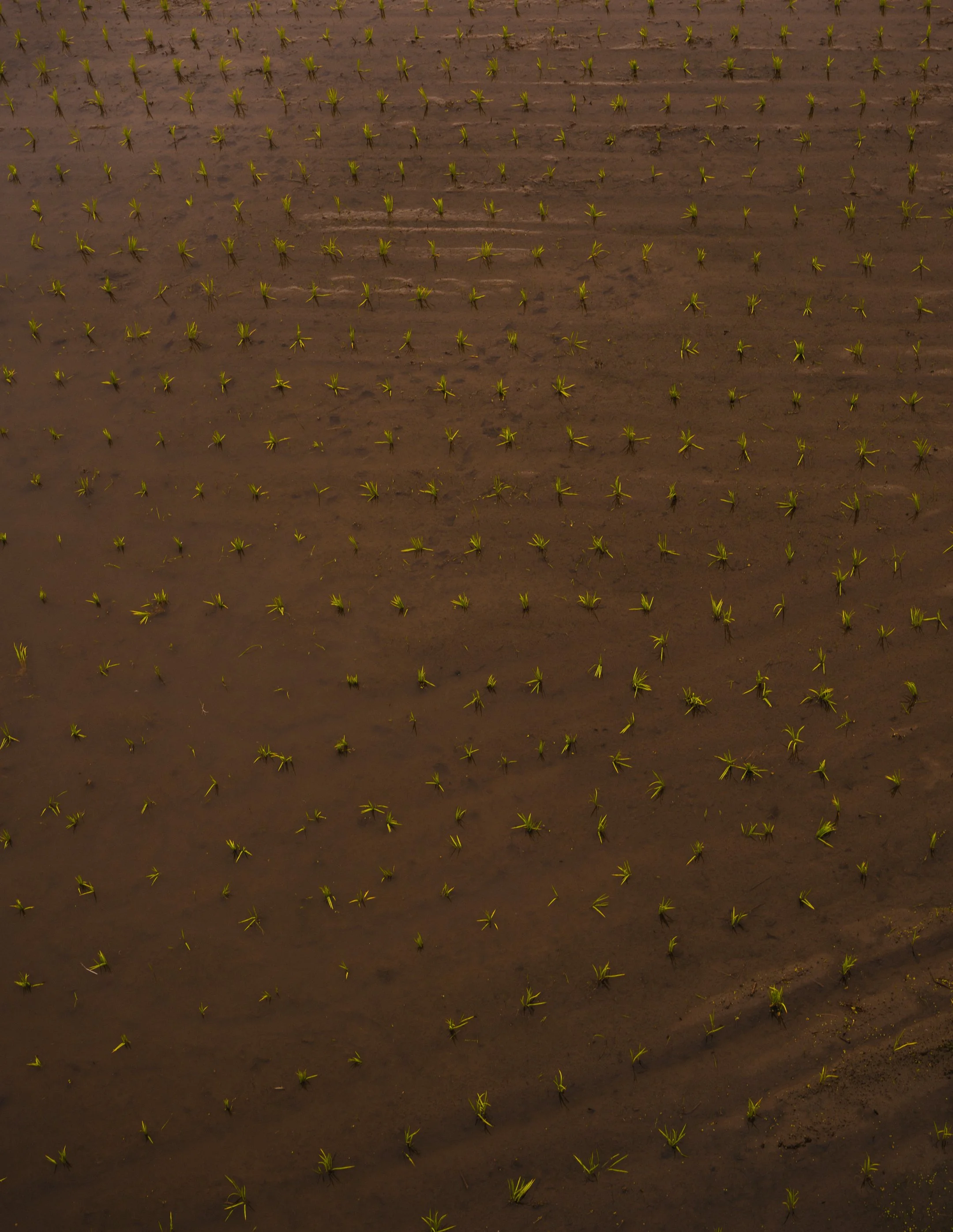 DSCF0430.jpg