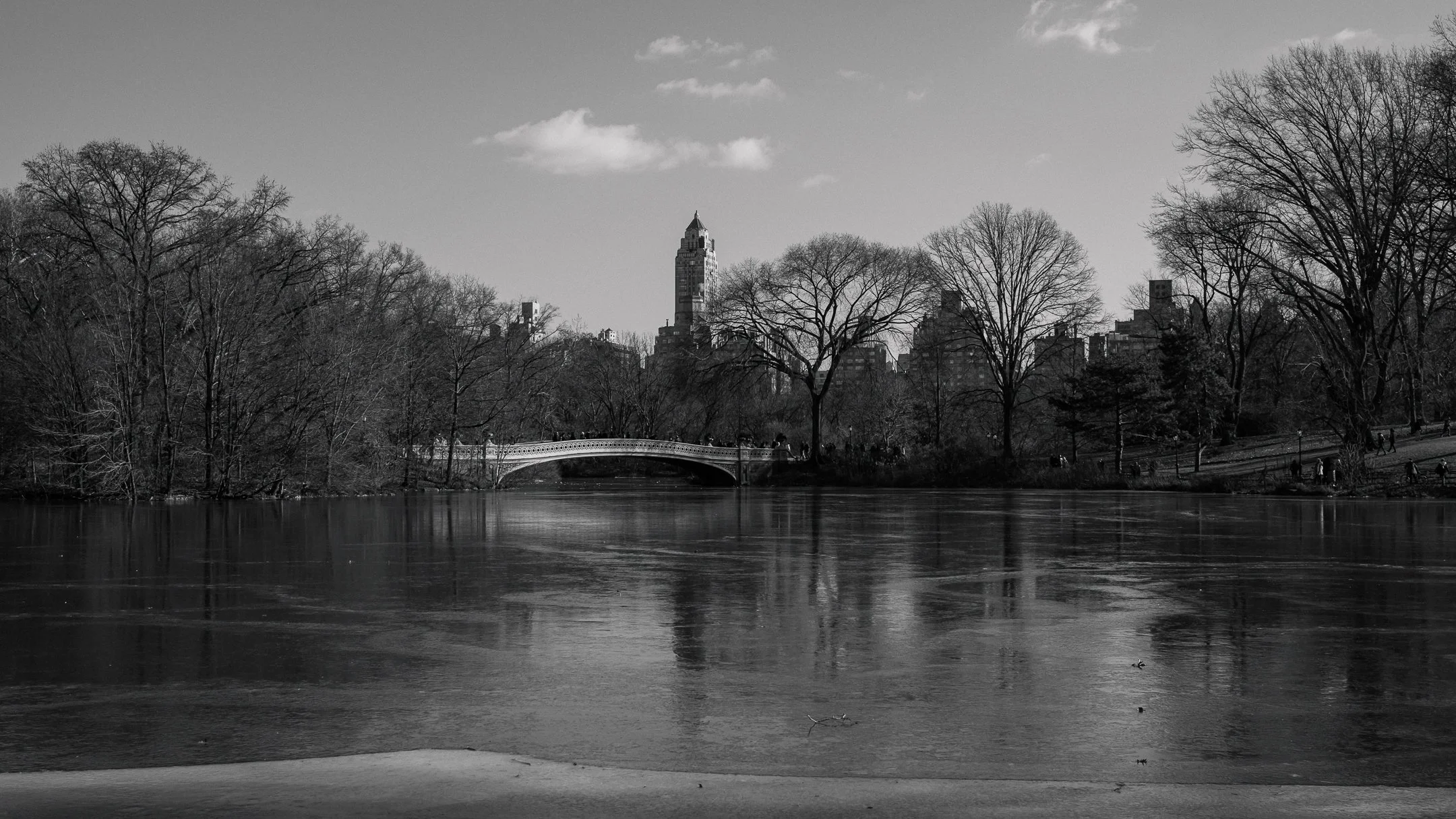DSCF2410-2.jpg