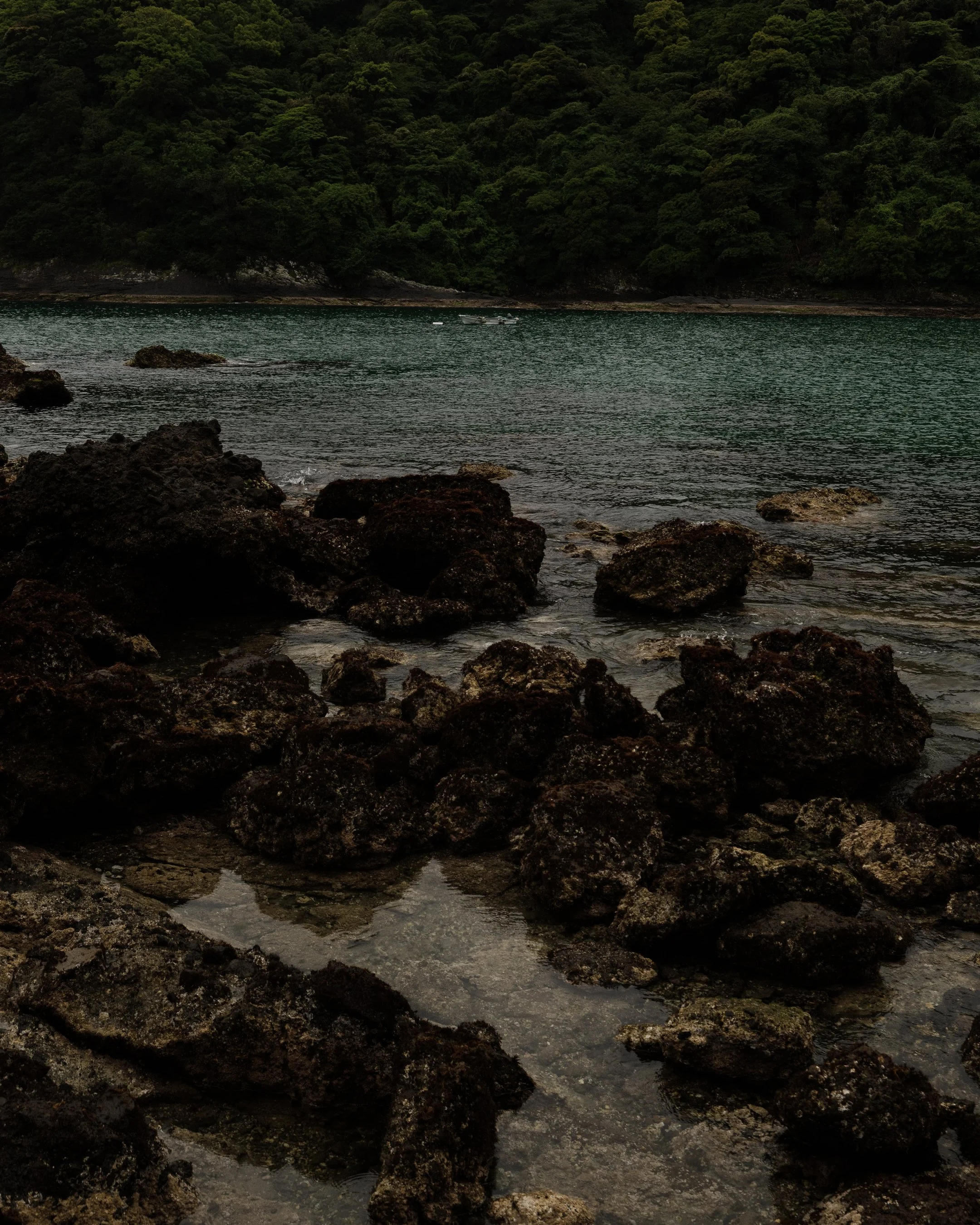 DSCF6098.jpg