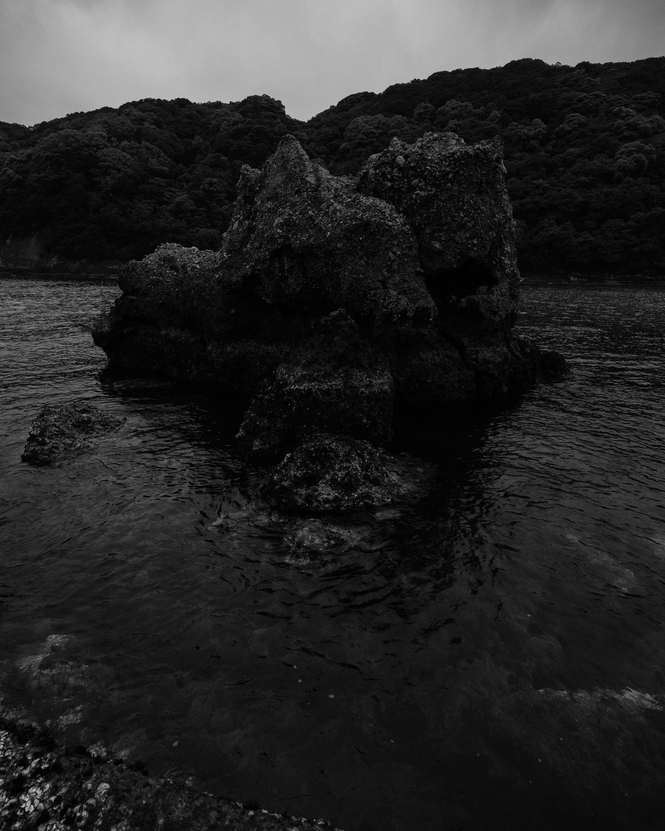 DSCF6116-2.jpg