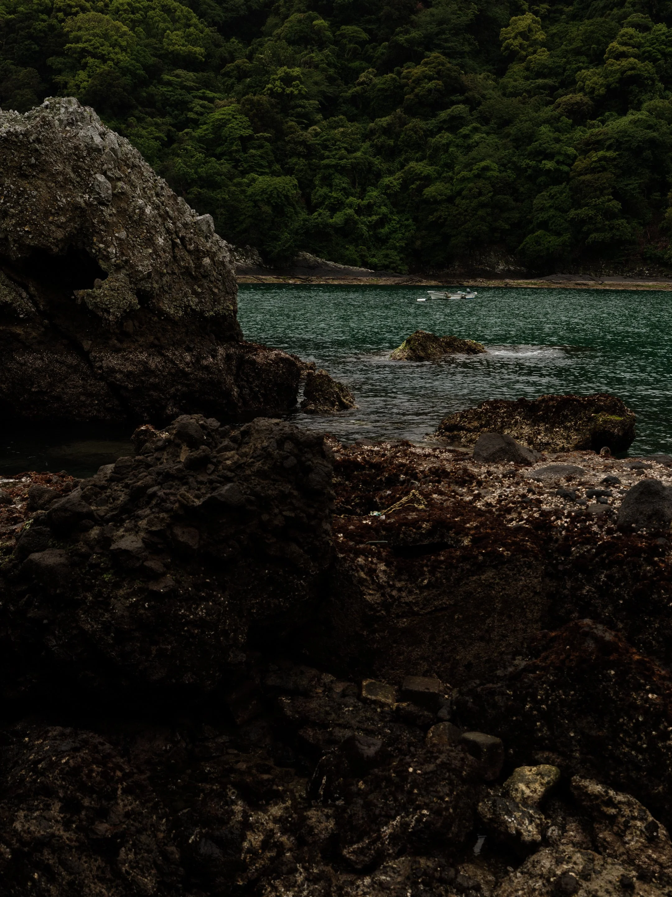 DSCF6111.jpg