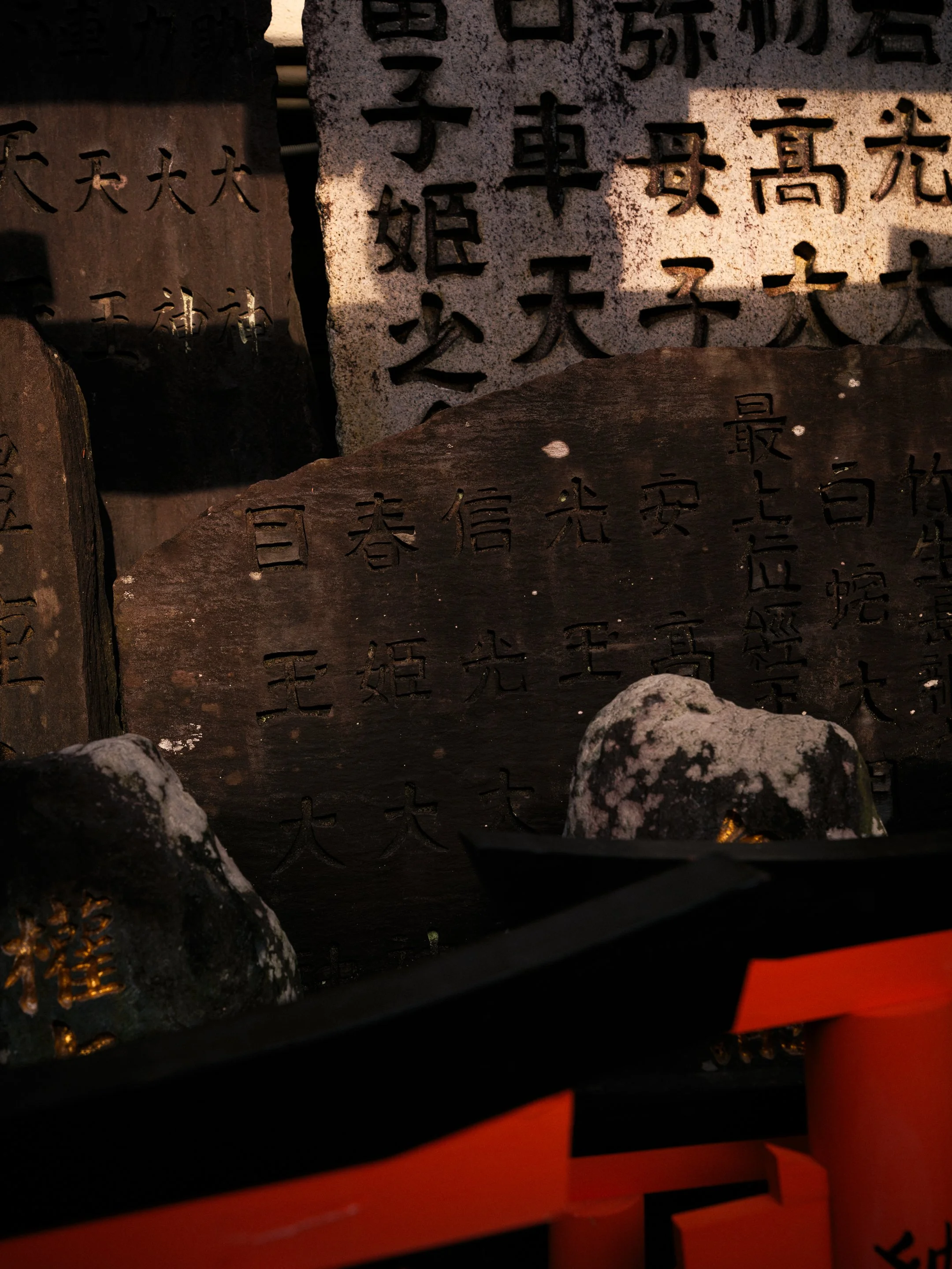 DSCF8438.jpg