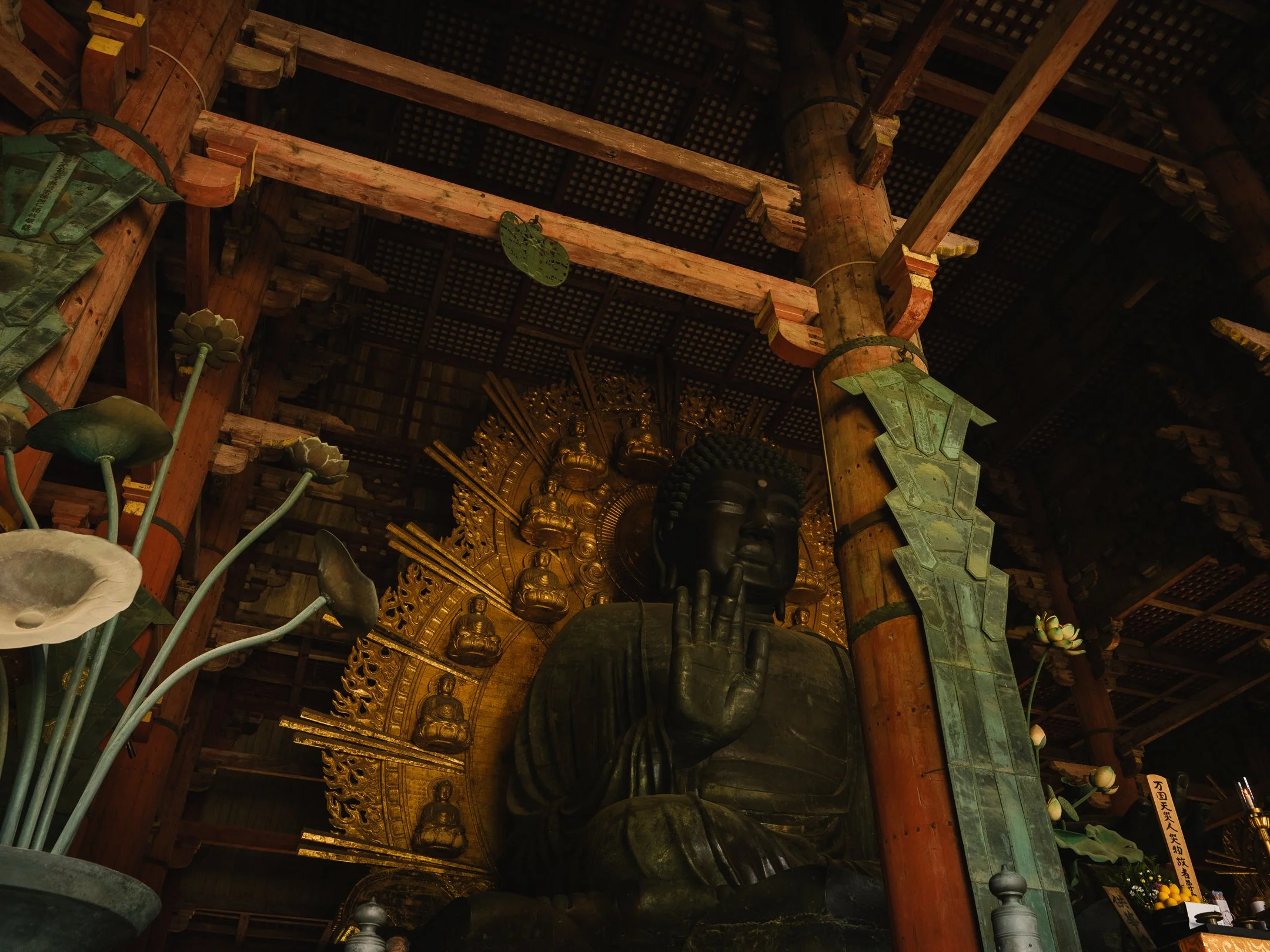 DSCF9676.jpg