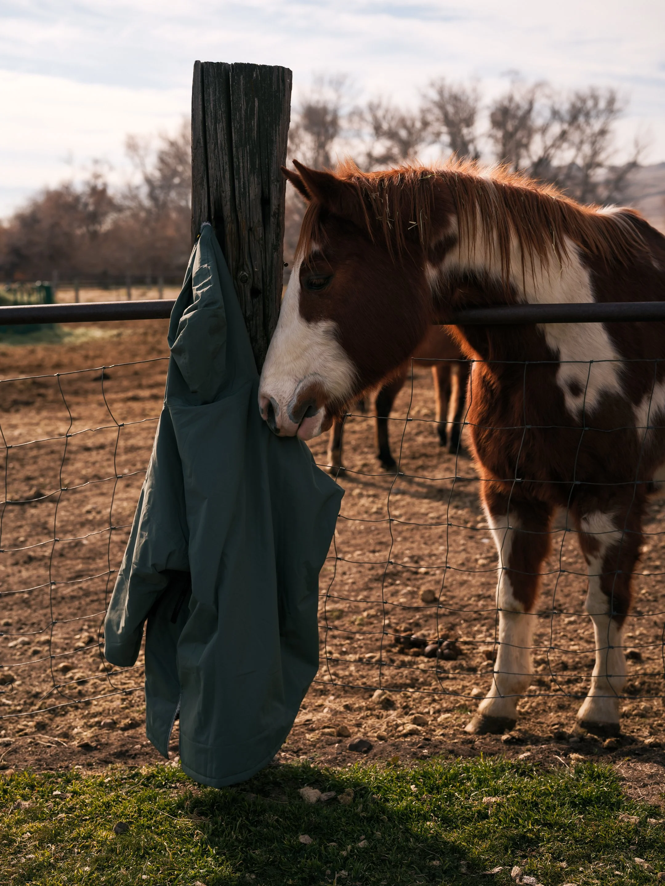 DSCF5630.jpg