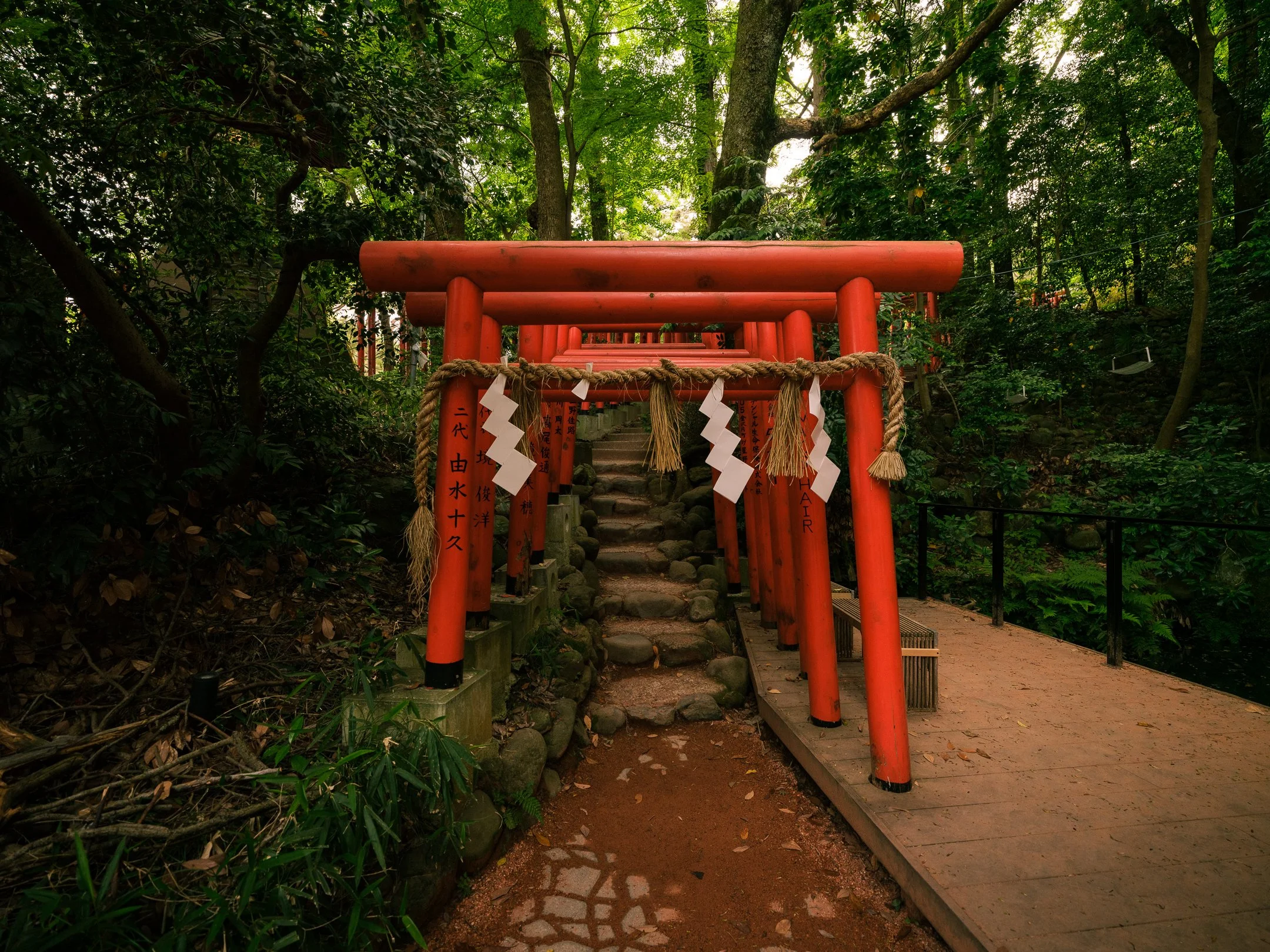DSCF5828.jpg