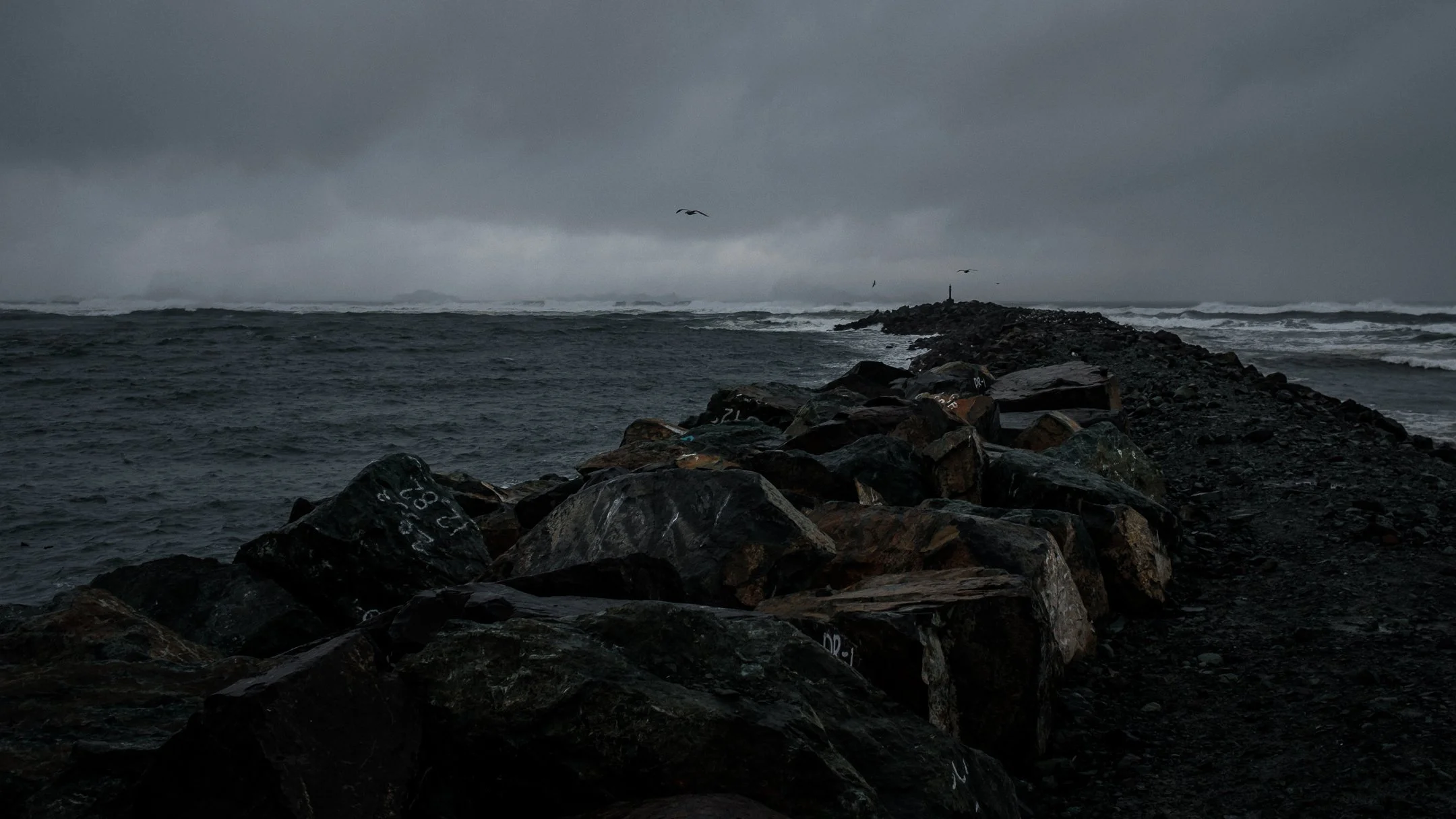 DSCF4907.jpg