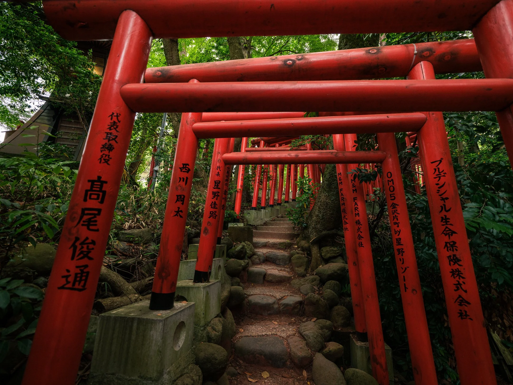 DSCF5856.jpg