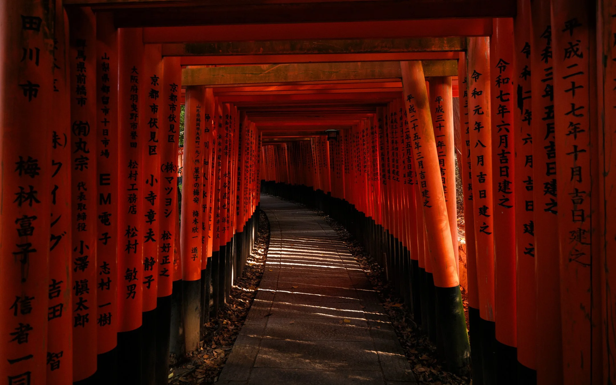 DSCF8473.jpg