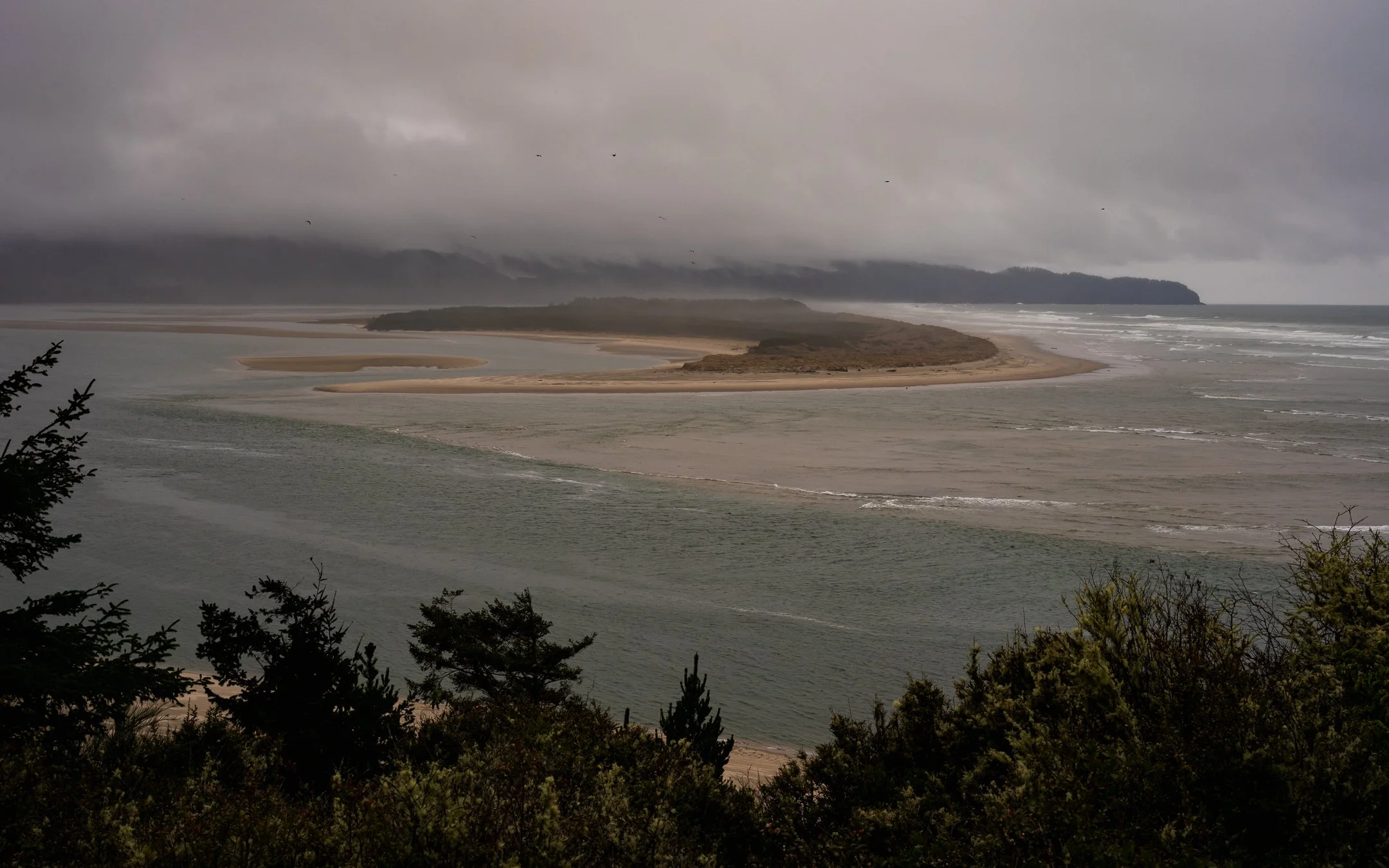 DSCF7593-2.jpg