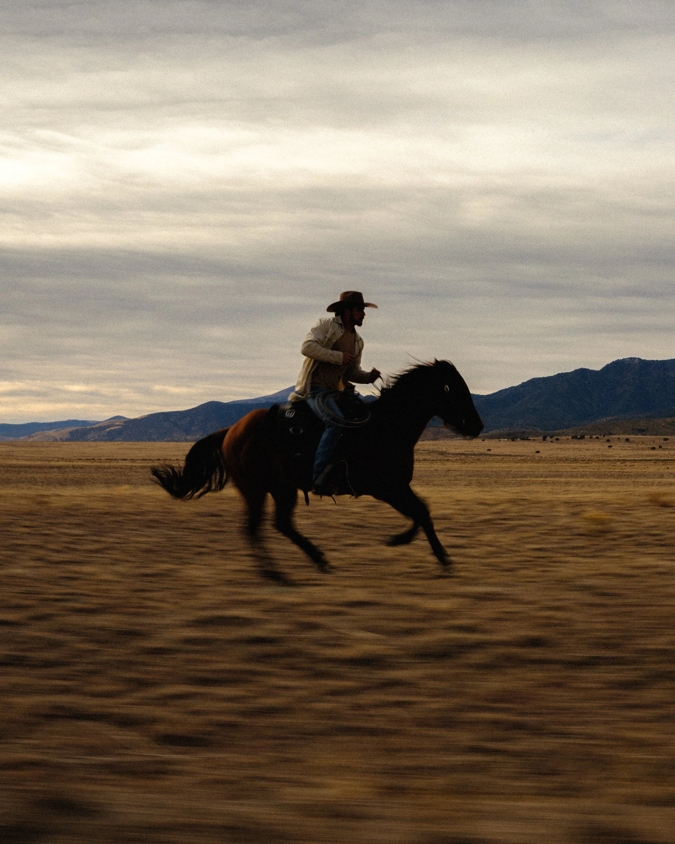 DSCF6910-2.jpg