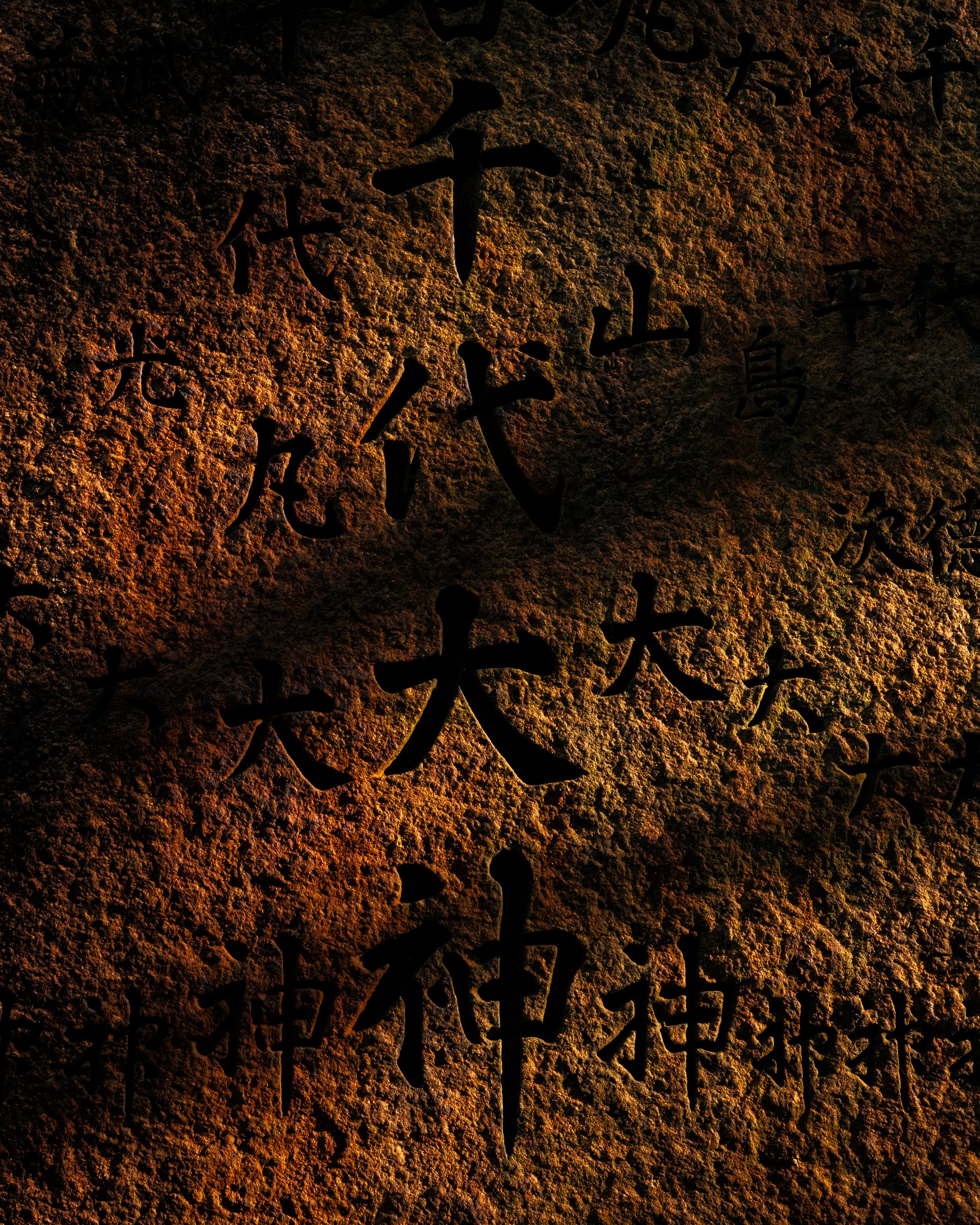 DSCF8442.jpg