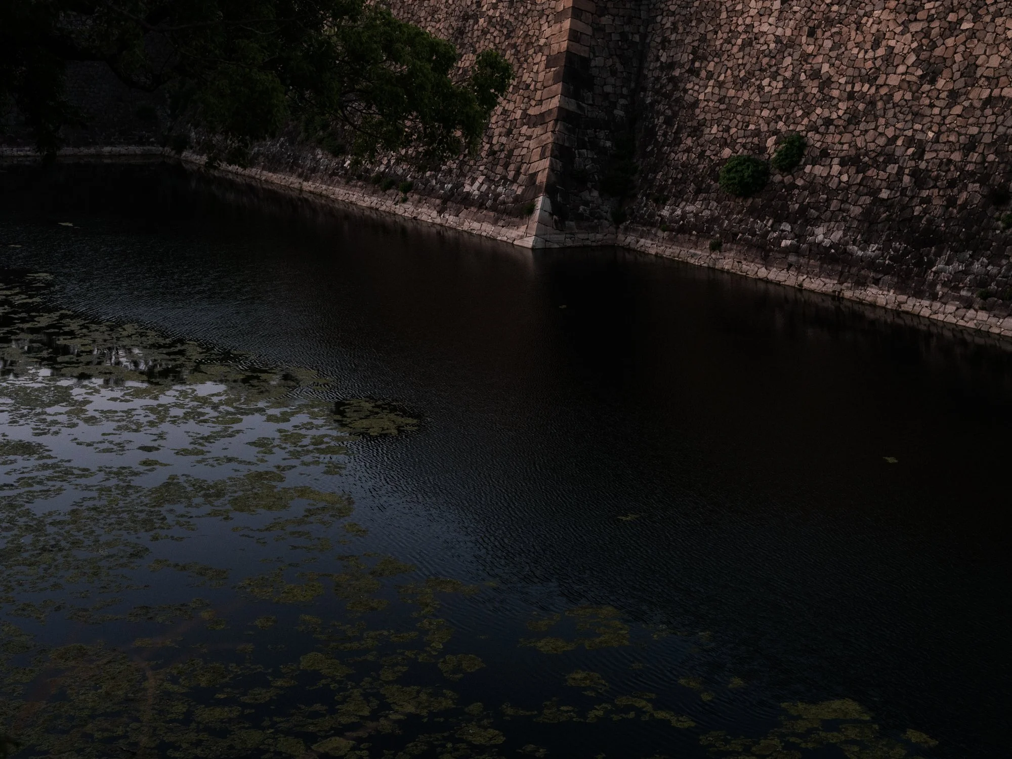 DSCF1257.jpg