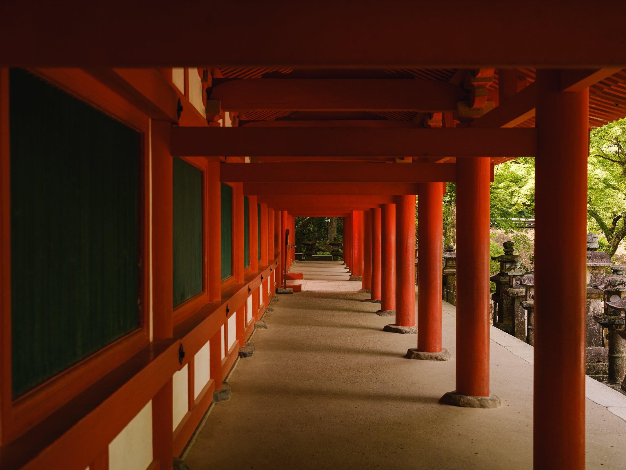 DSCF9927.jpg