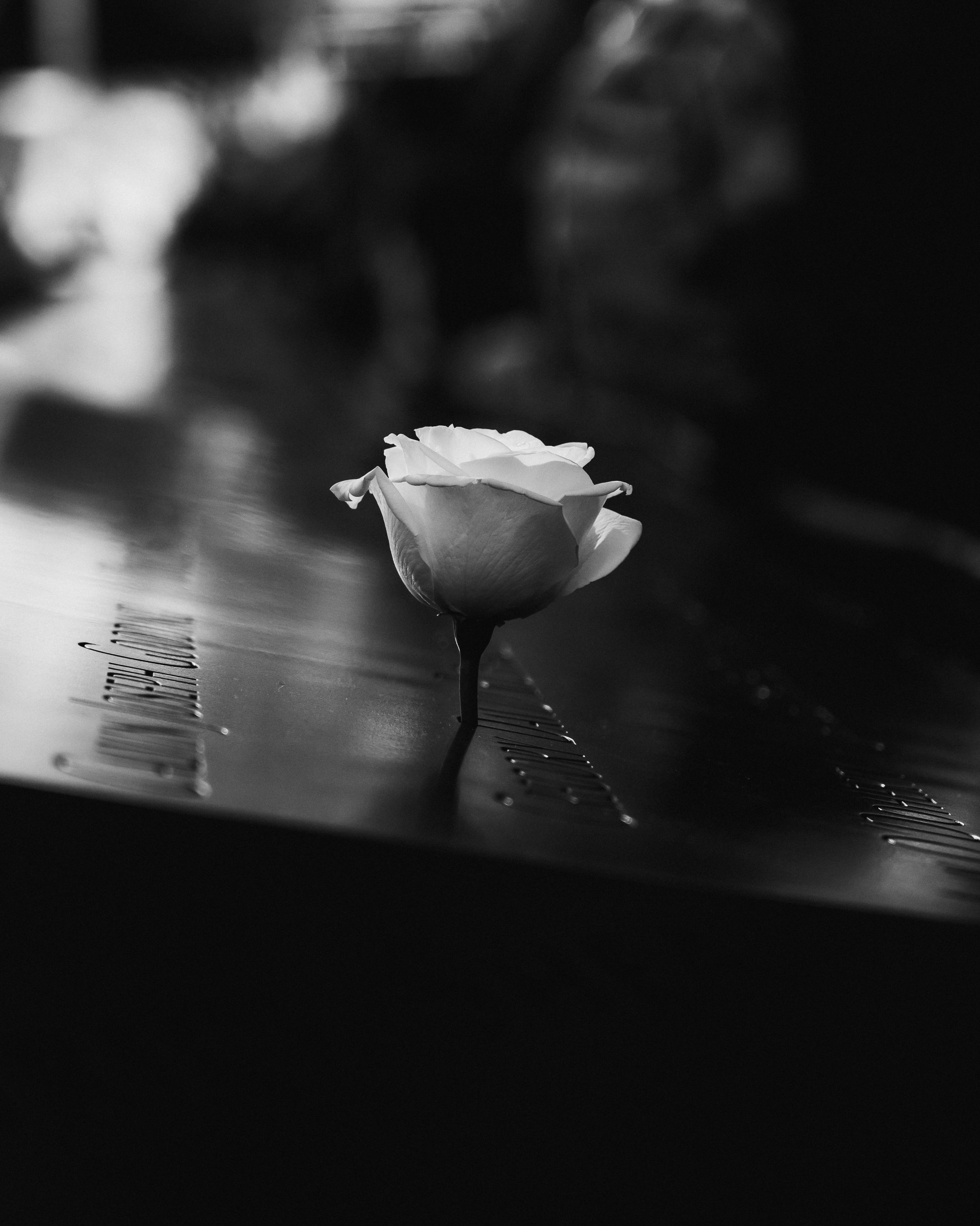 DSC02801-2.jpg