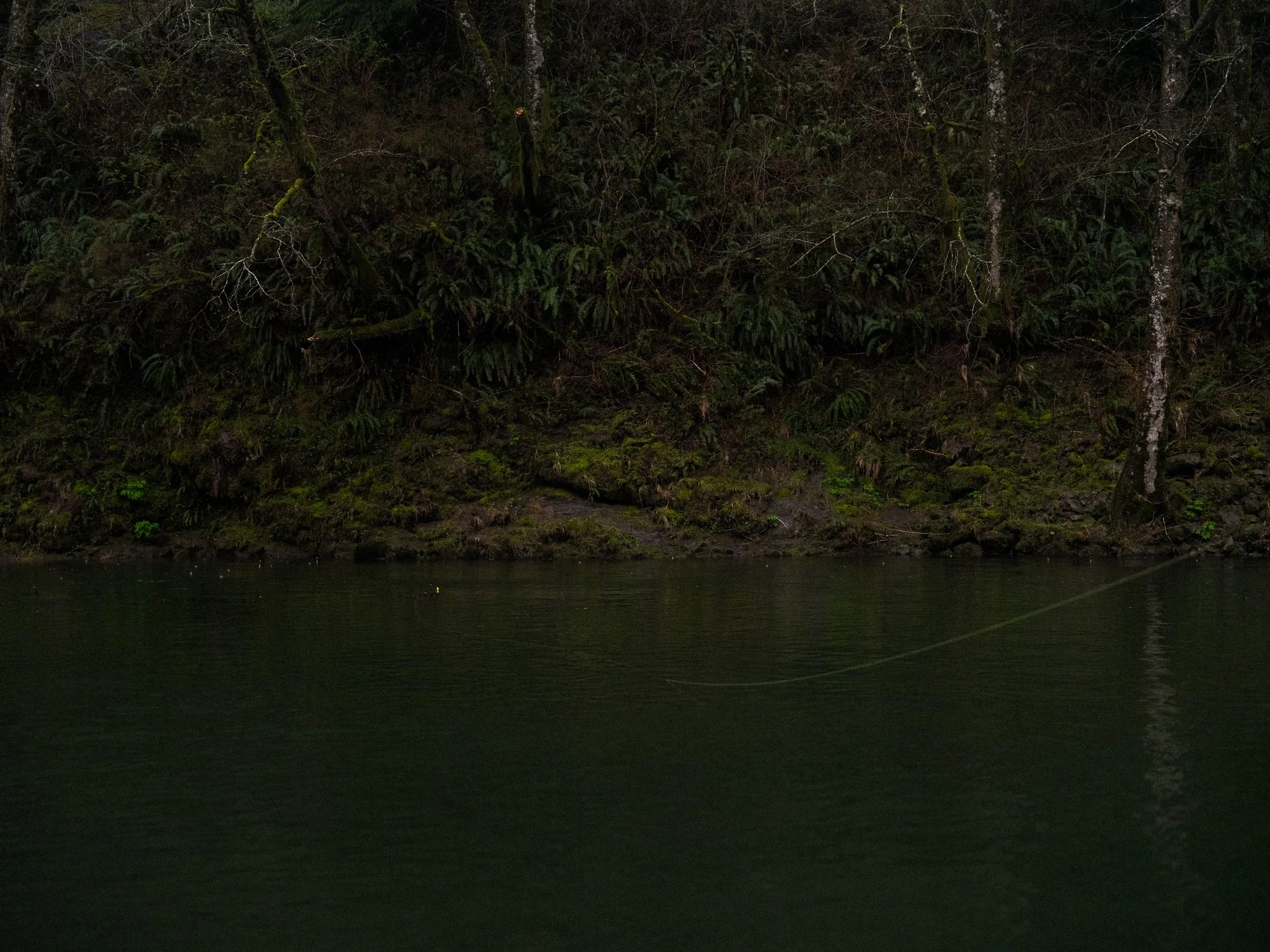 DSCF7039.jpg