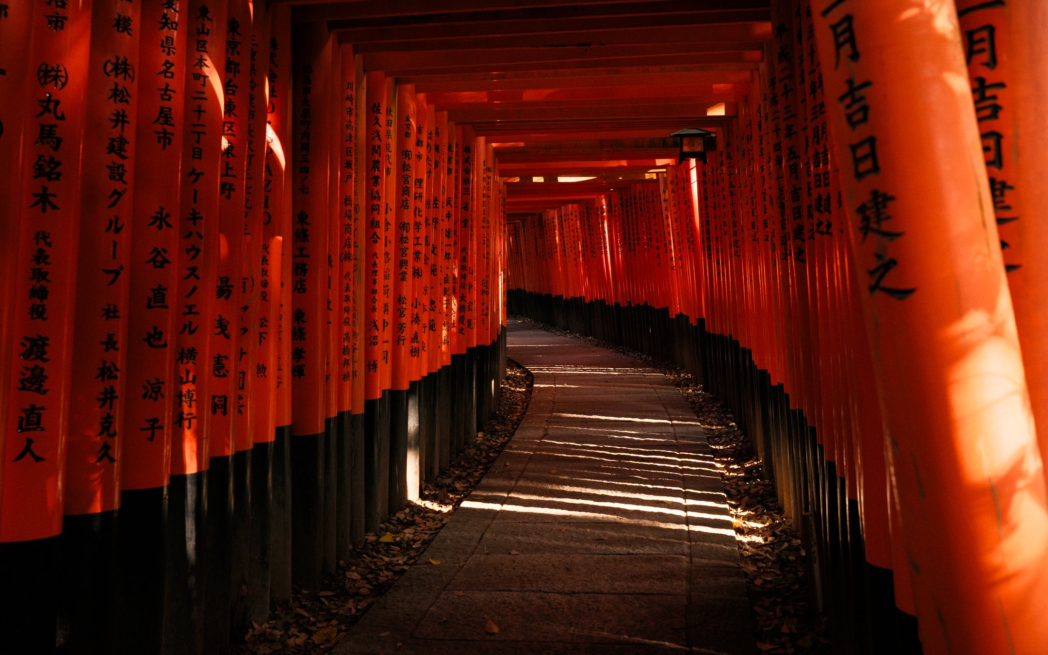 DSCF8579.jpg