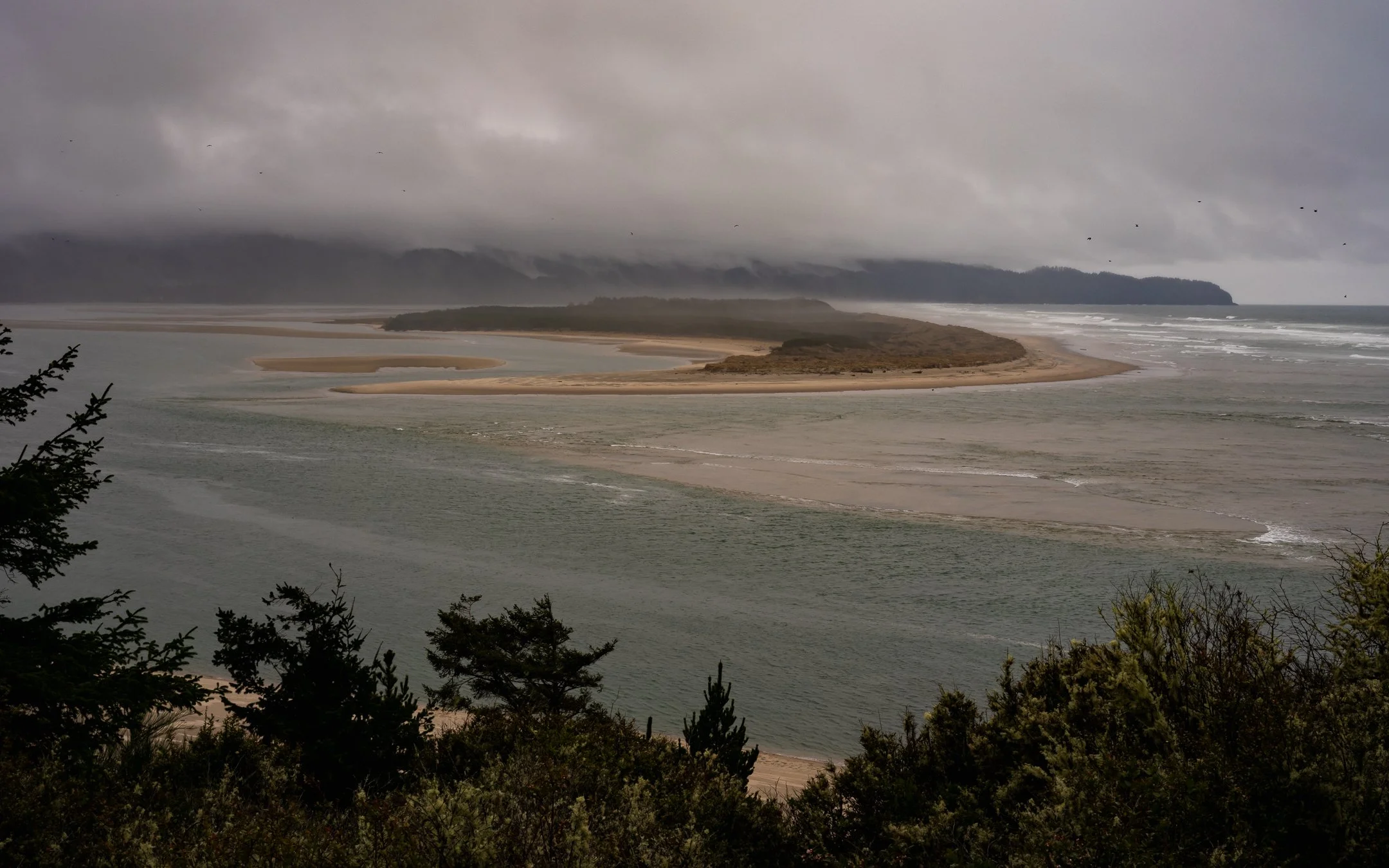 DSCF7583.jpg