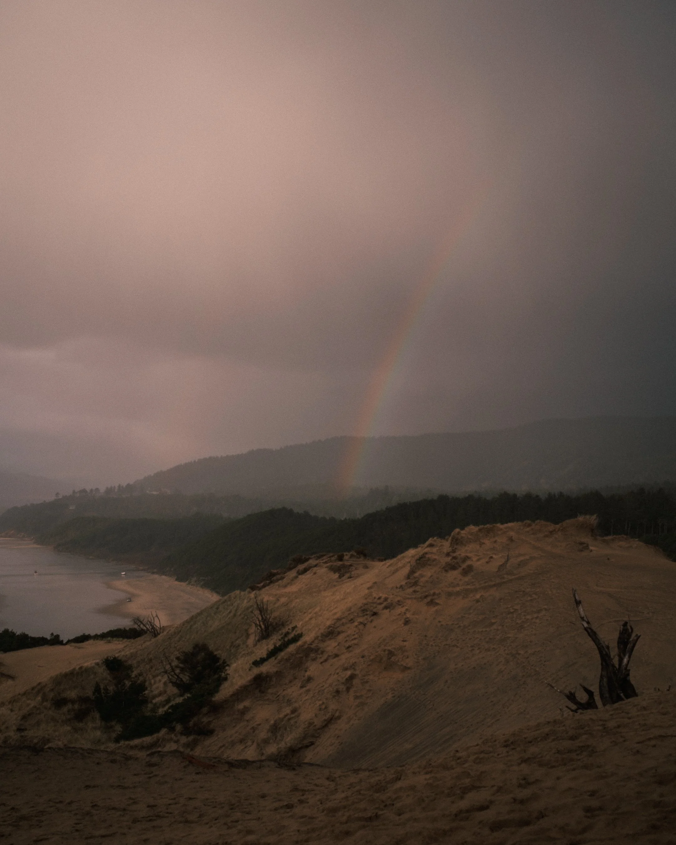DSCF4800-2.jpg
