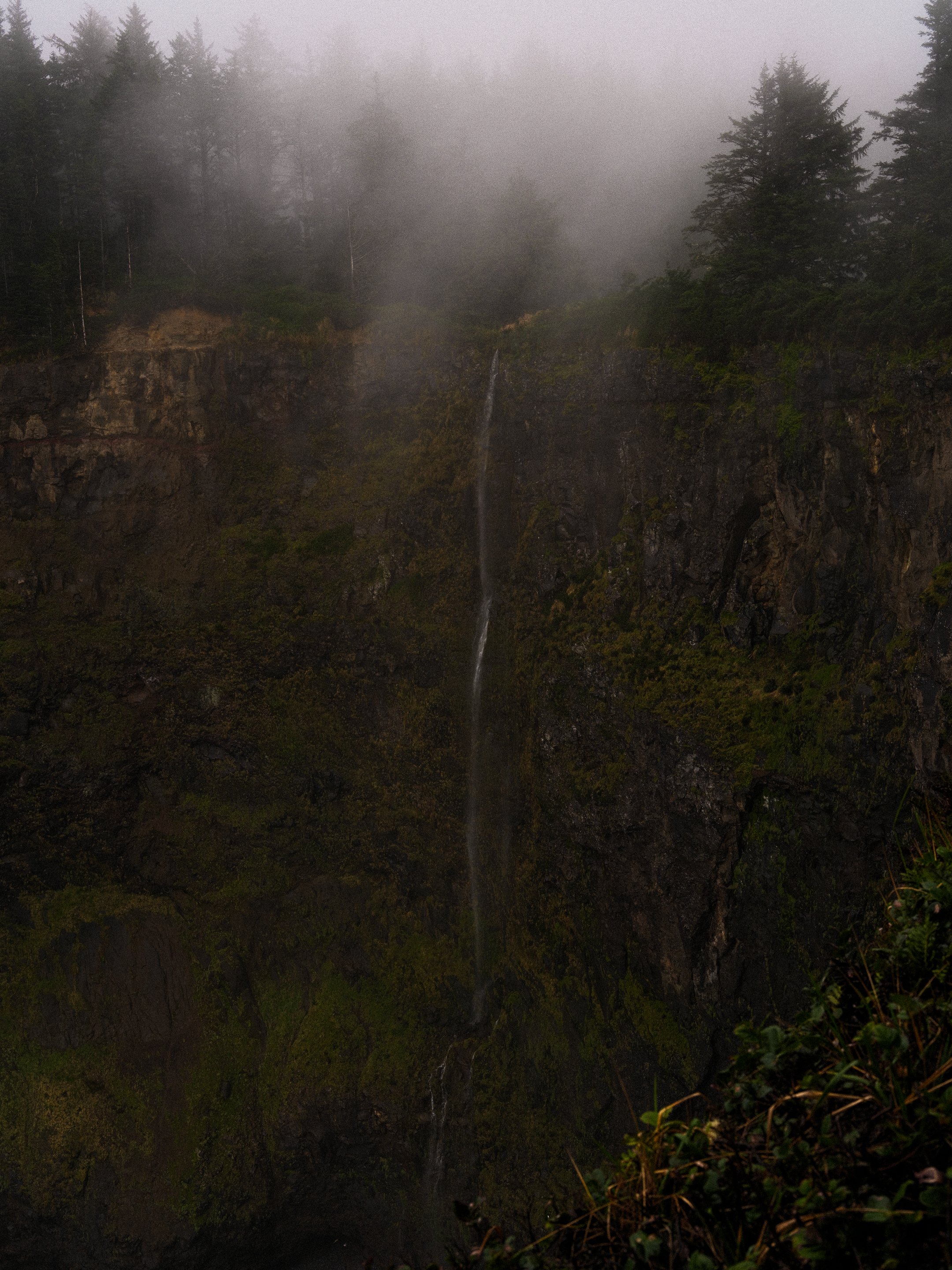DSCF7457.jpg