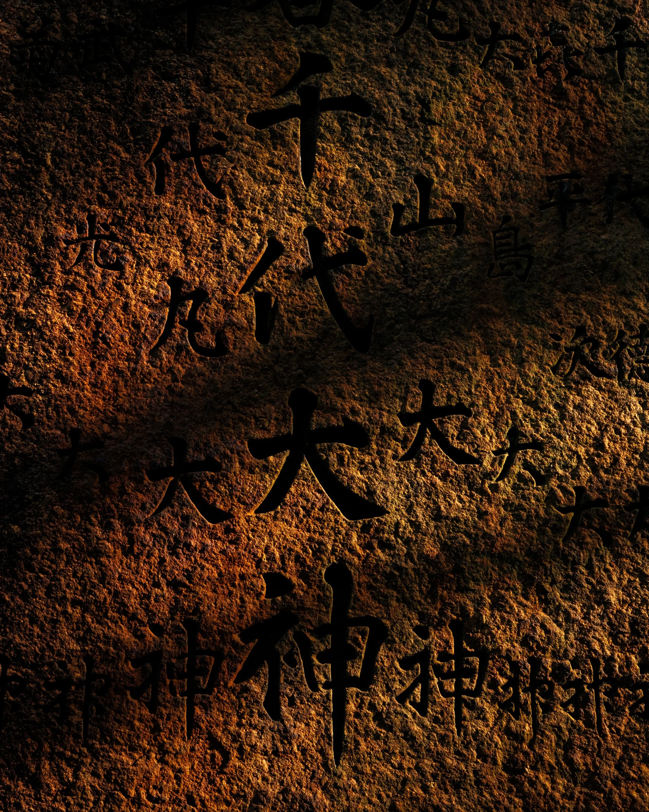 DSCF8442.jpg