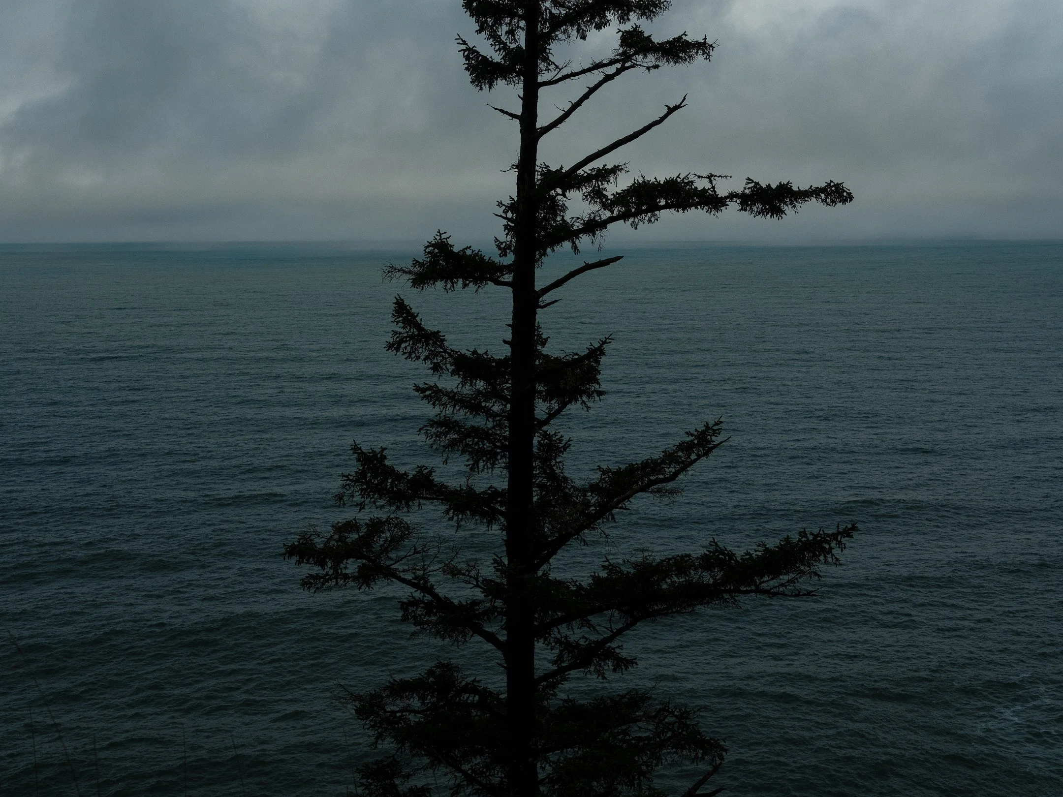 DSCF7169.jpg