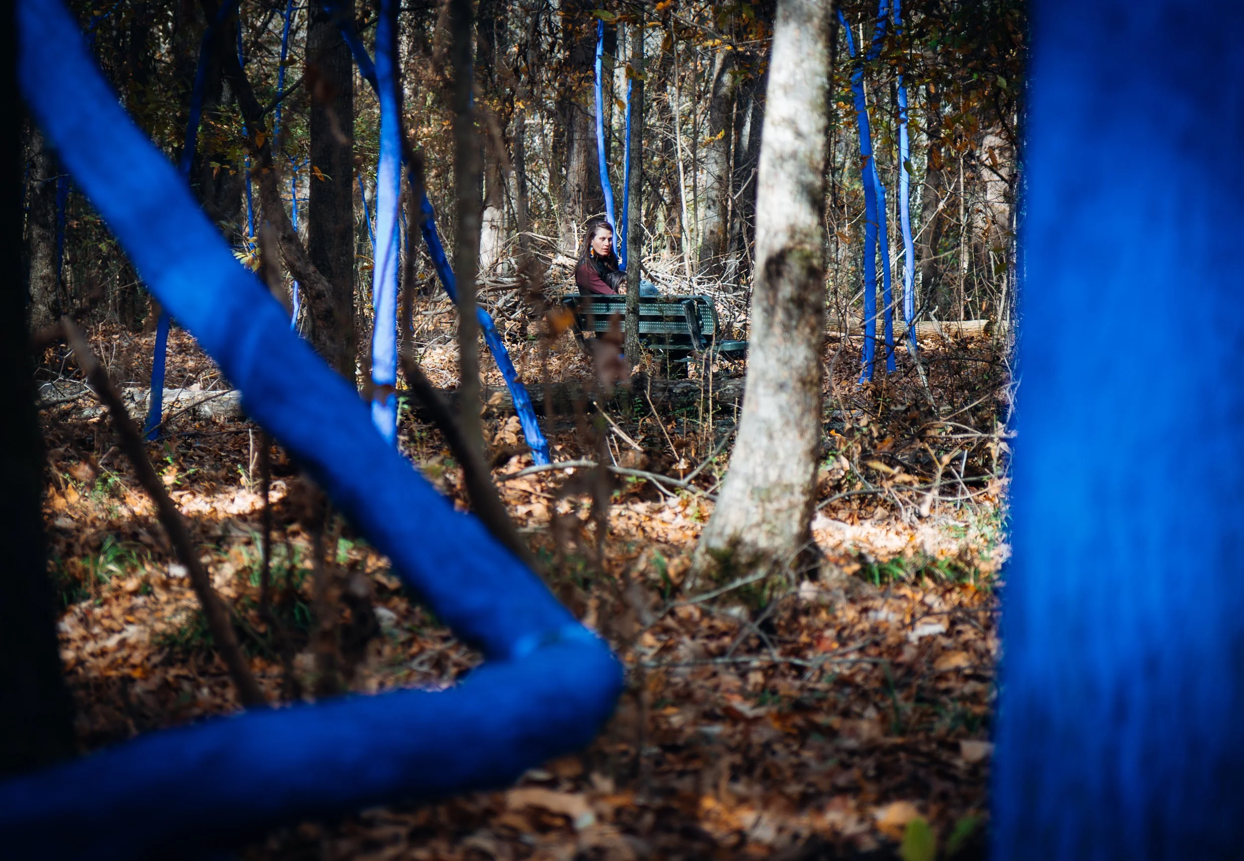 Copy of Blue_Tree3(photo Credit_ Long_Shots_KC).jpg