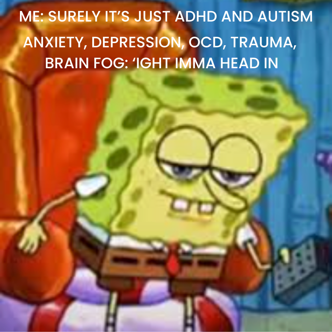 Module 17 meme_3.png