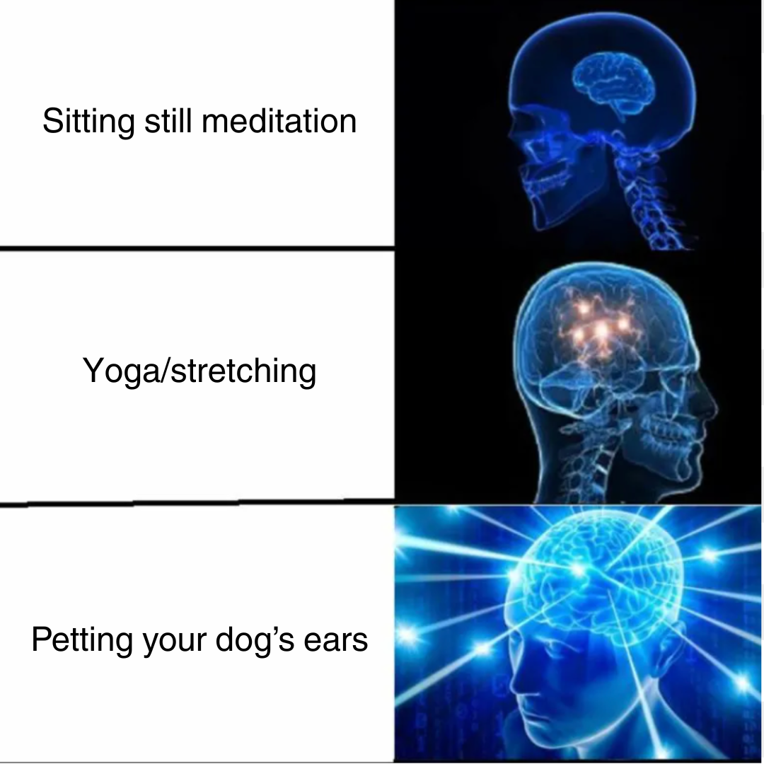 Module 14 meme_1.png