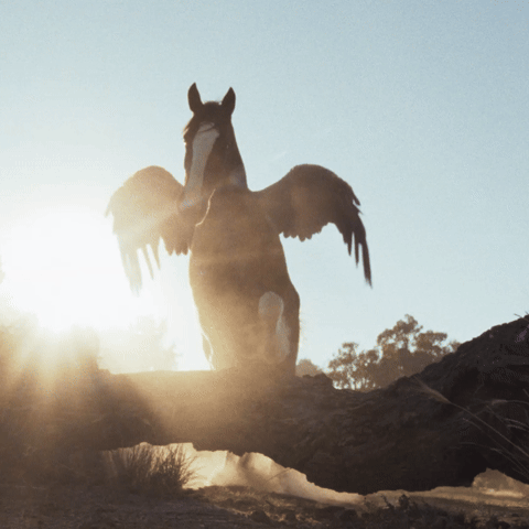 Budweiser Super Bowl