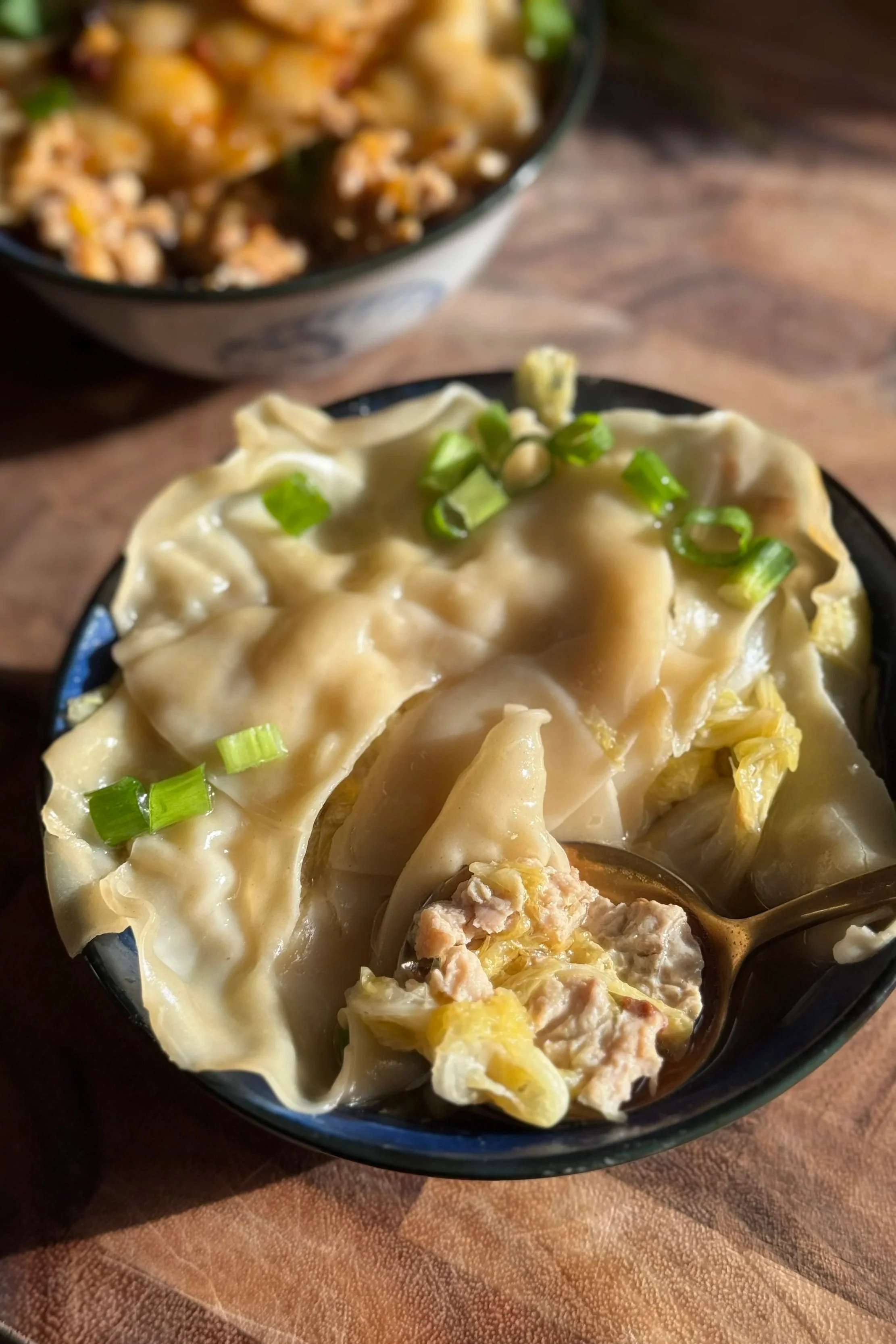 Soupy Dumpling Lasagna