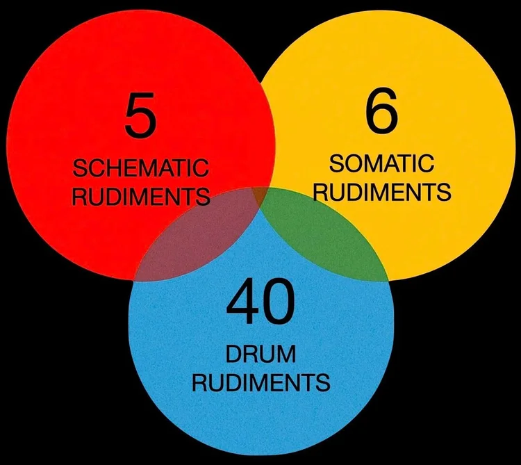 5 schematic rudiments, 6 somatic rudiments, and 40 drum rudiments