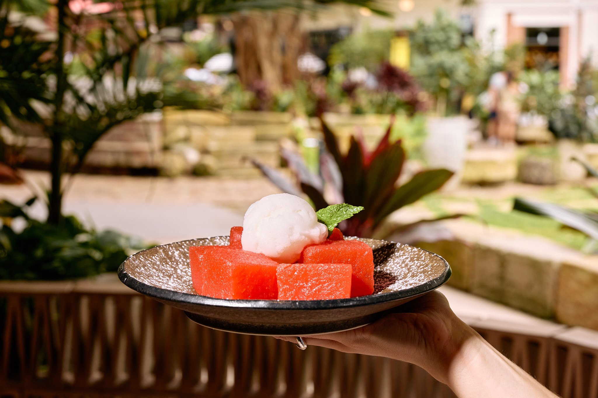 A refreshing finish, juicy watermelon meets citrusy sorbet. 

https://www.yamasrestaurant.com.au/

#thisisbrisbane #westendbrisbane #greekfood