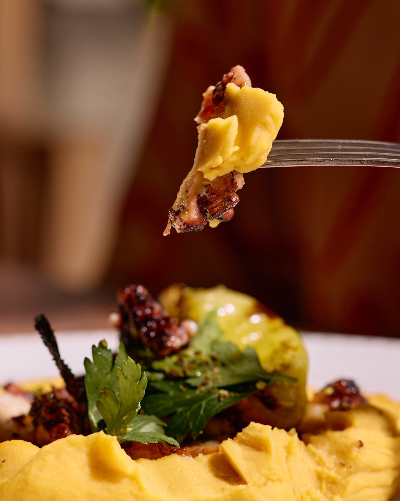 Grilled octopus, chilli oil, oregano, lemon, and fava. 

One of our customer favourites! 

https://www.yamasrestaurant.com.au/

#thisisbrisbane #westendbrisbane #greekfood
