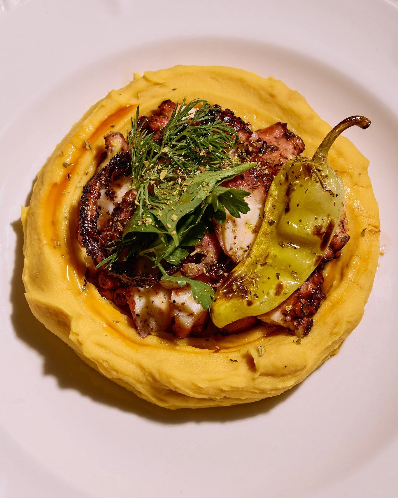 Endless flavours. 

https://www.yamasrestaurant.com.au/

#thisisbrisbane #westendbrisbane #greekfood