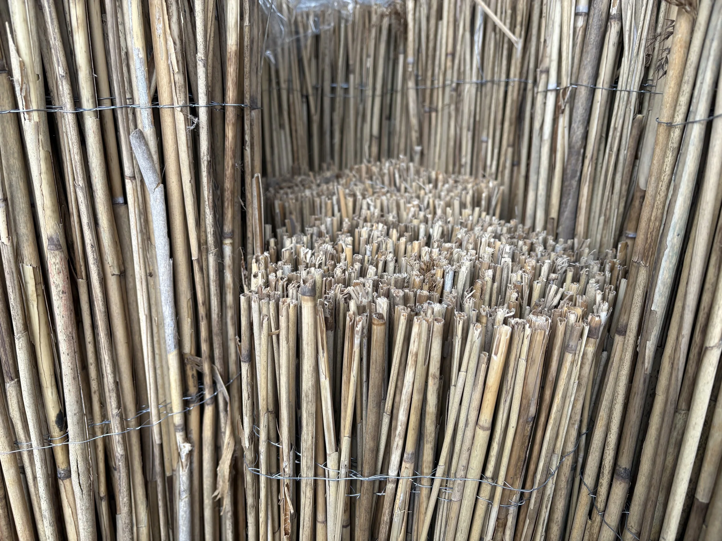 Detaliu rogojina de stuf ambalata sul