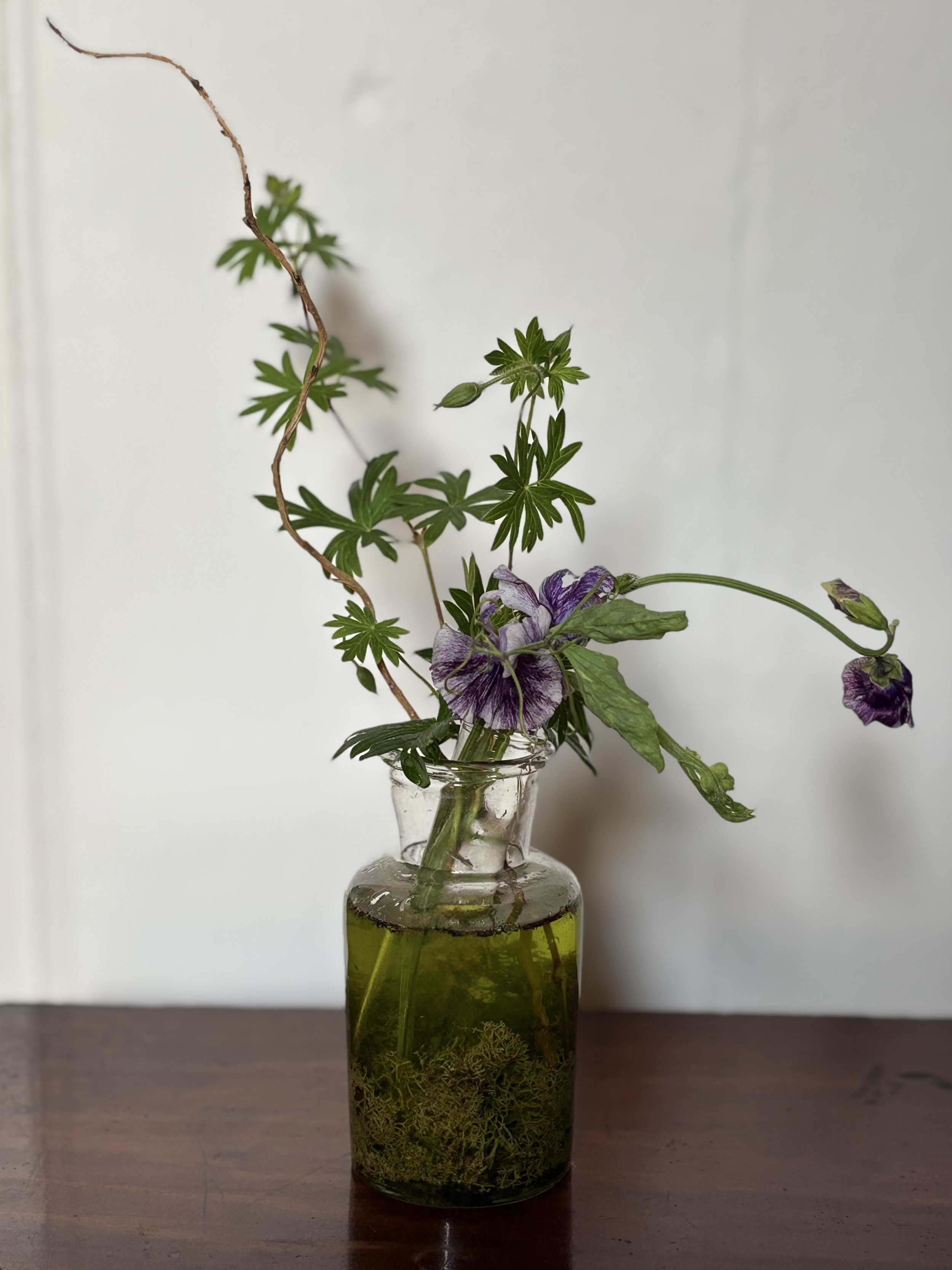 A glass vase filled with water holding a plant with purple and green flowers and green leaves, with a vine extending upward.