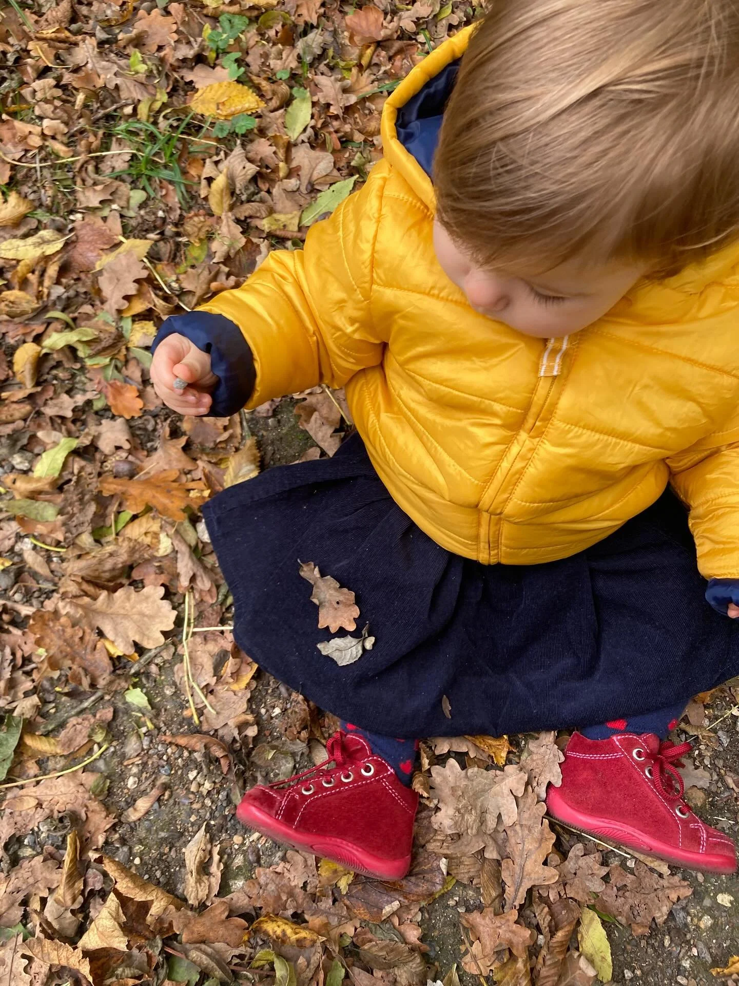 La joie des petites choses 🍁